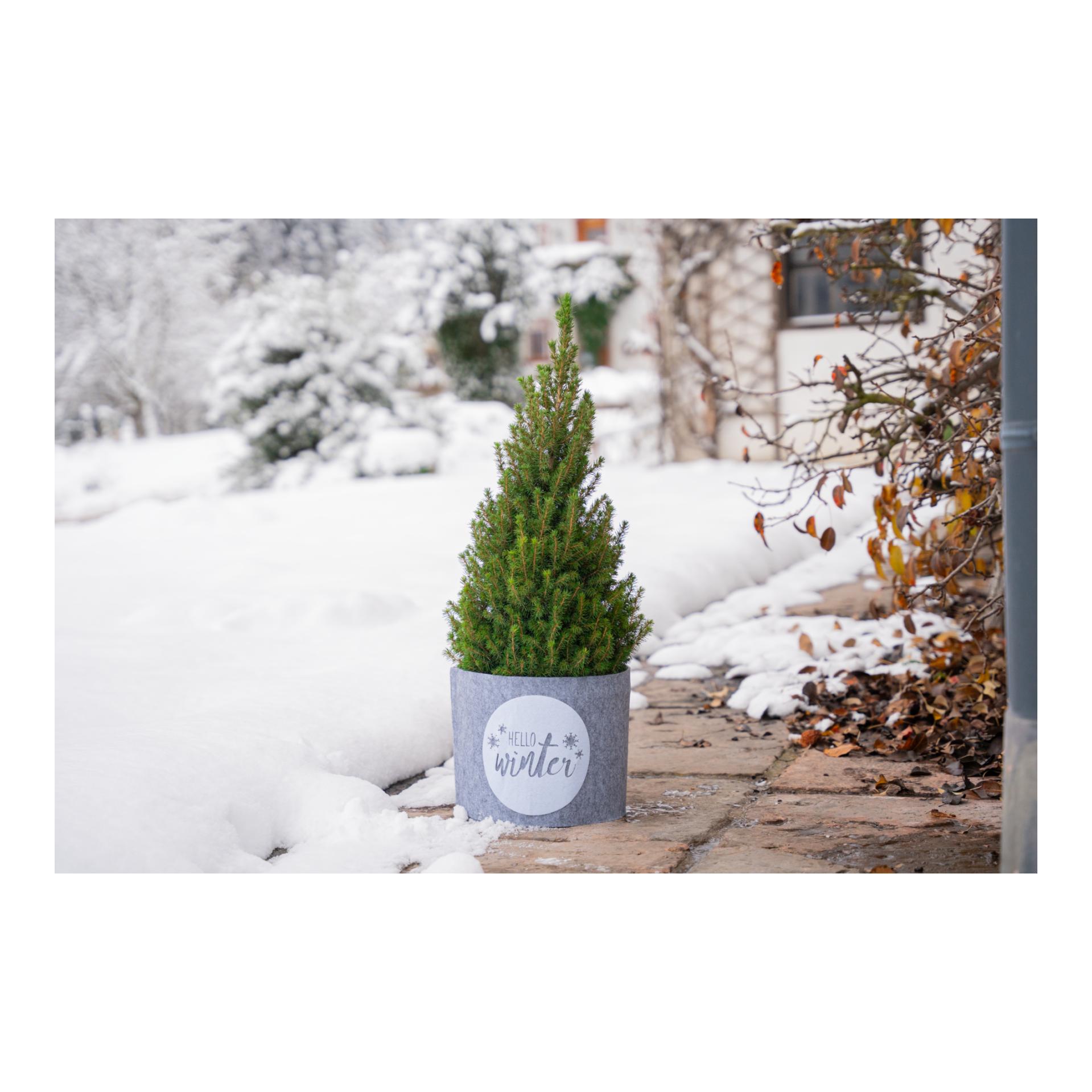 Deko-Filz-Topfschutz HELLO WINTER