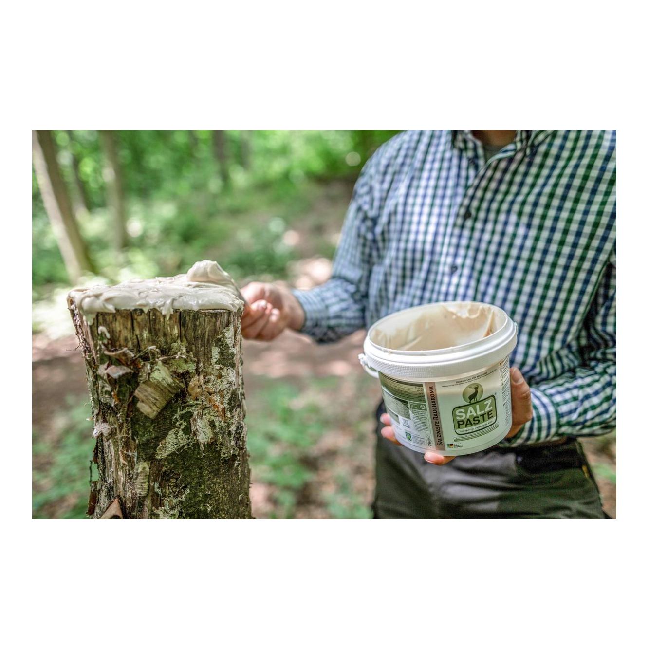 Salzpaste 2 kg Eimer - Apfel
