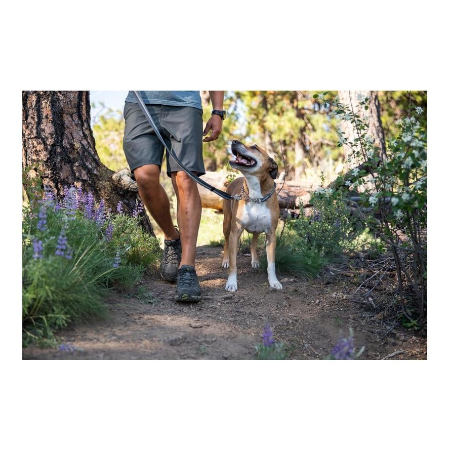 Chain Reaction Collar Hundehalsband - grau