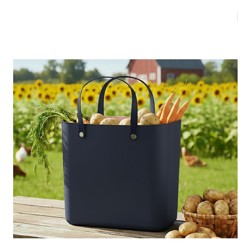 Rotho Multibag ALBULA