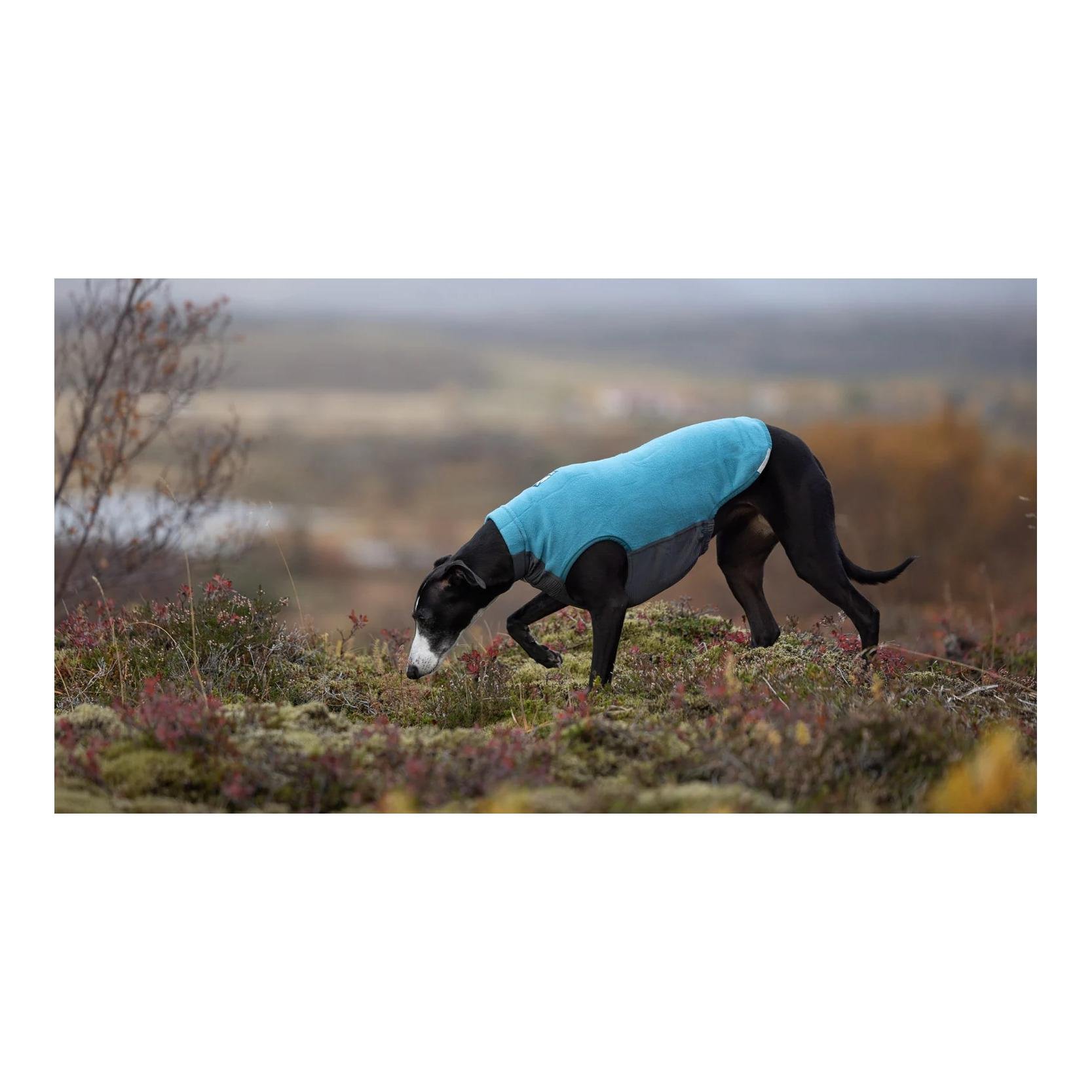 Hunde Fleecepullover Trail quest