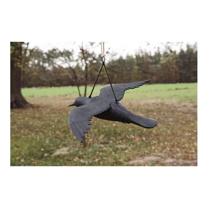 Bradas Anti-oiseaux - corbeau volant