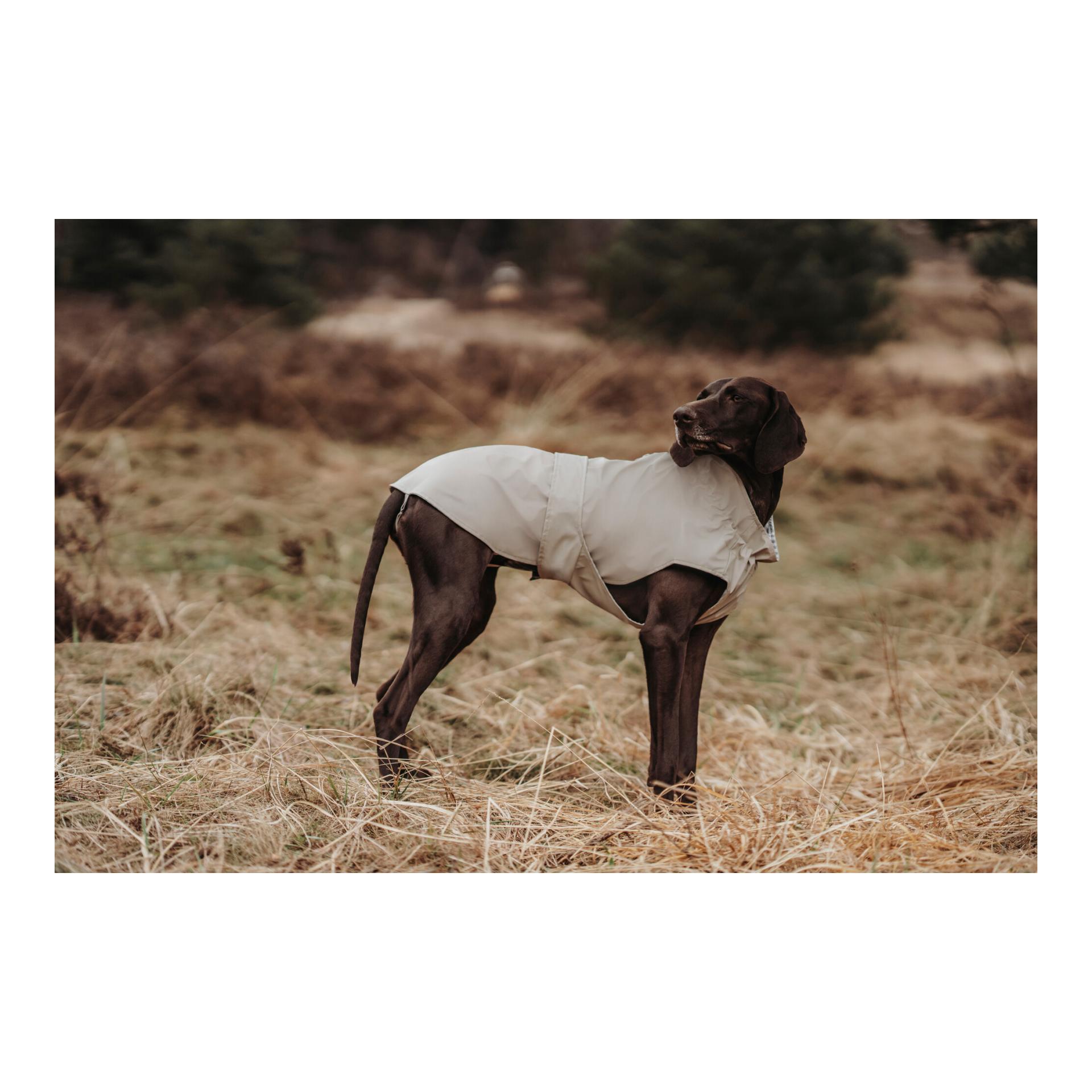 Hunderegenmantel Milford