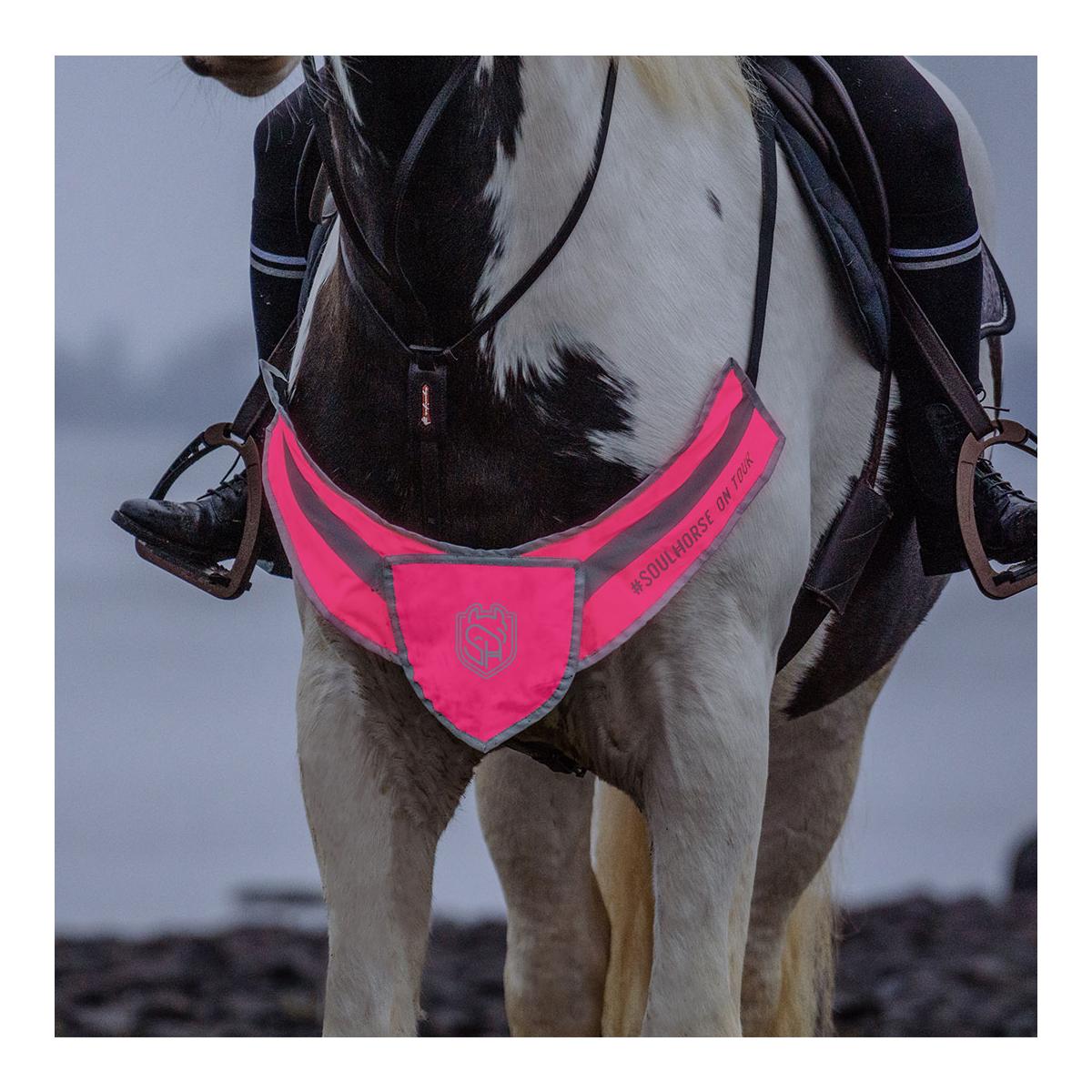 Kit d'éclairage avant 