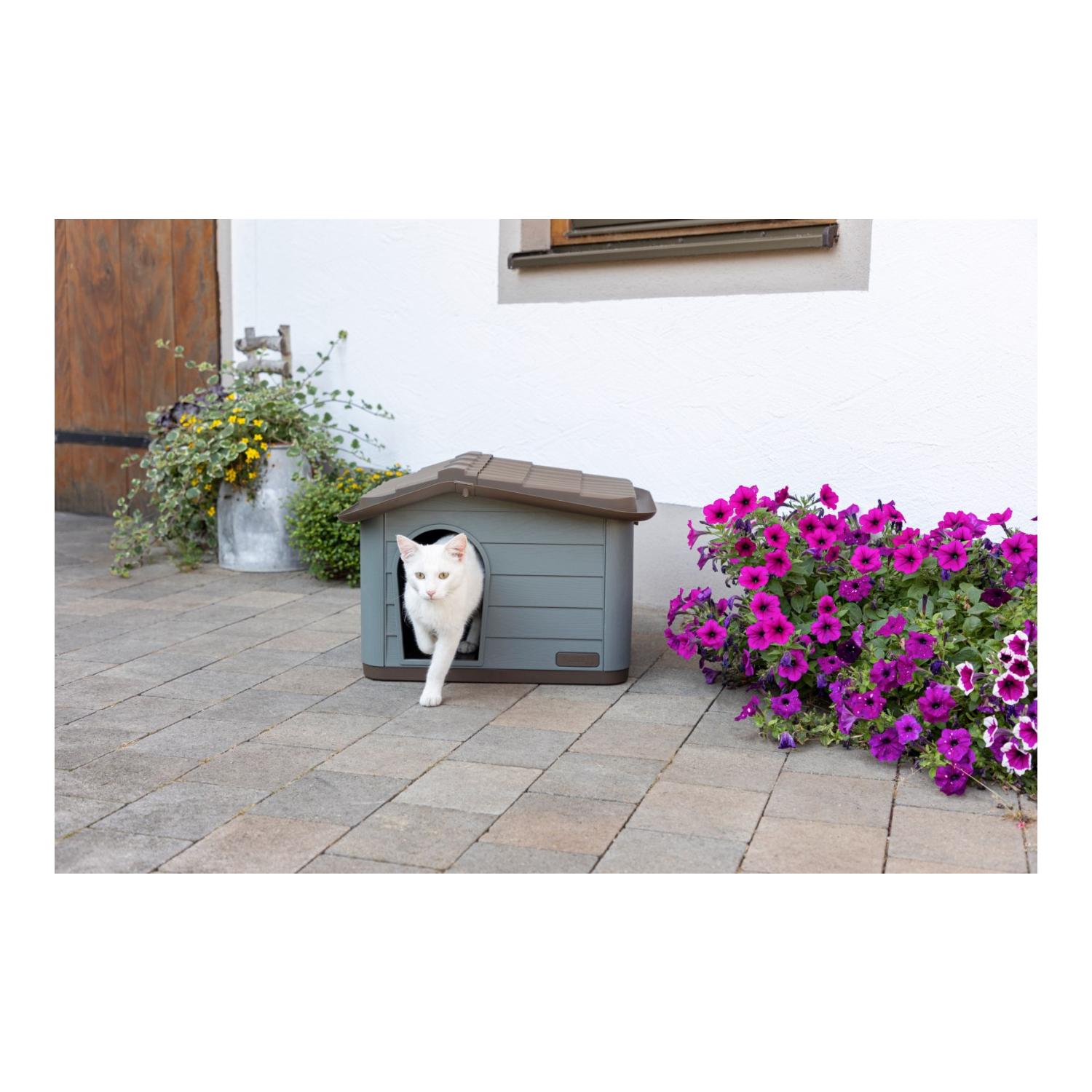 Maison pour chat Paola Eco