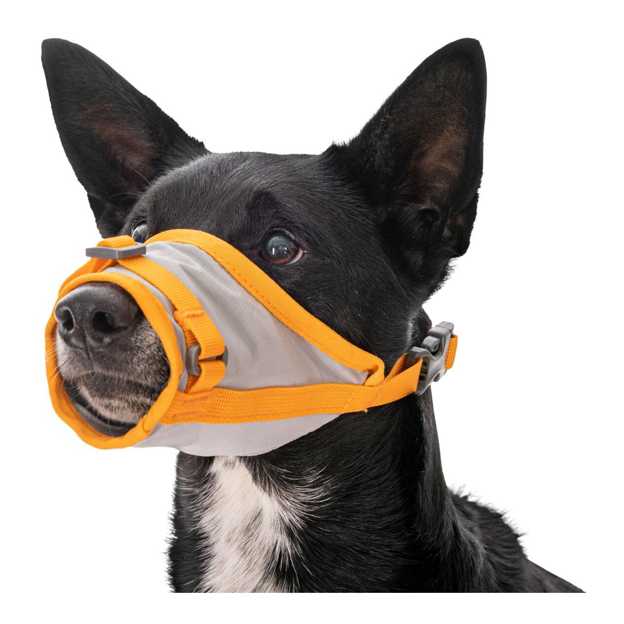 Hundenotfall-Set BackTrak Dog Evacuation Kit