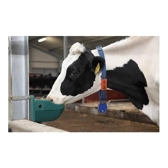 Universal-Schwimmertränke