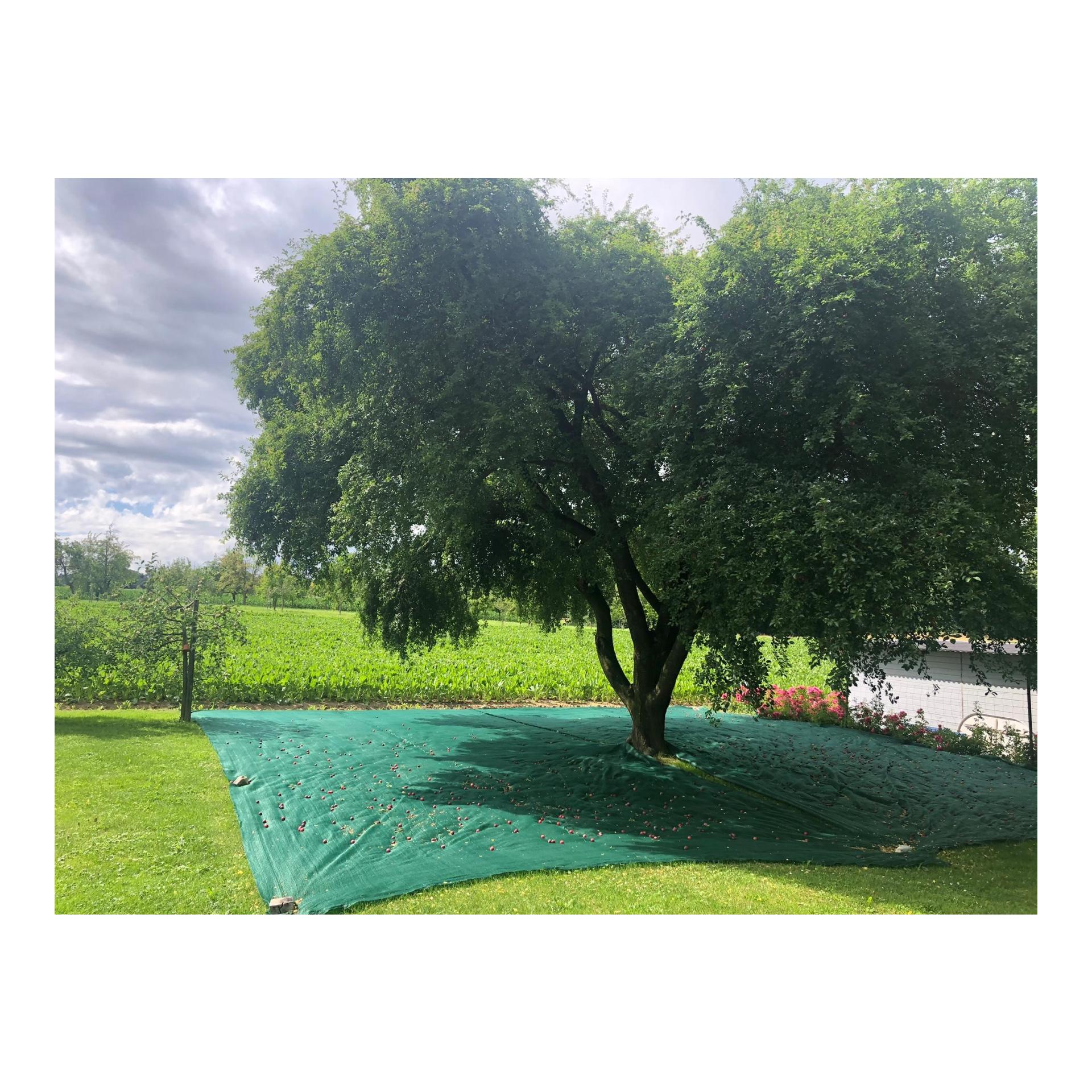 Erntenetz - gesäumt mit Ösen