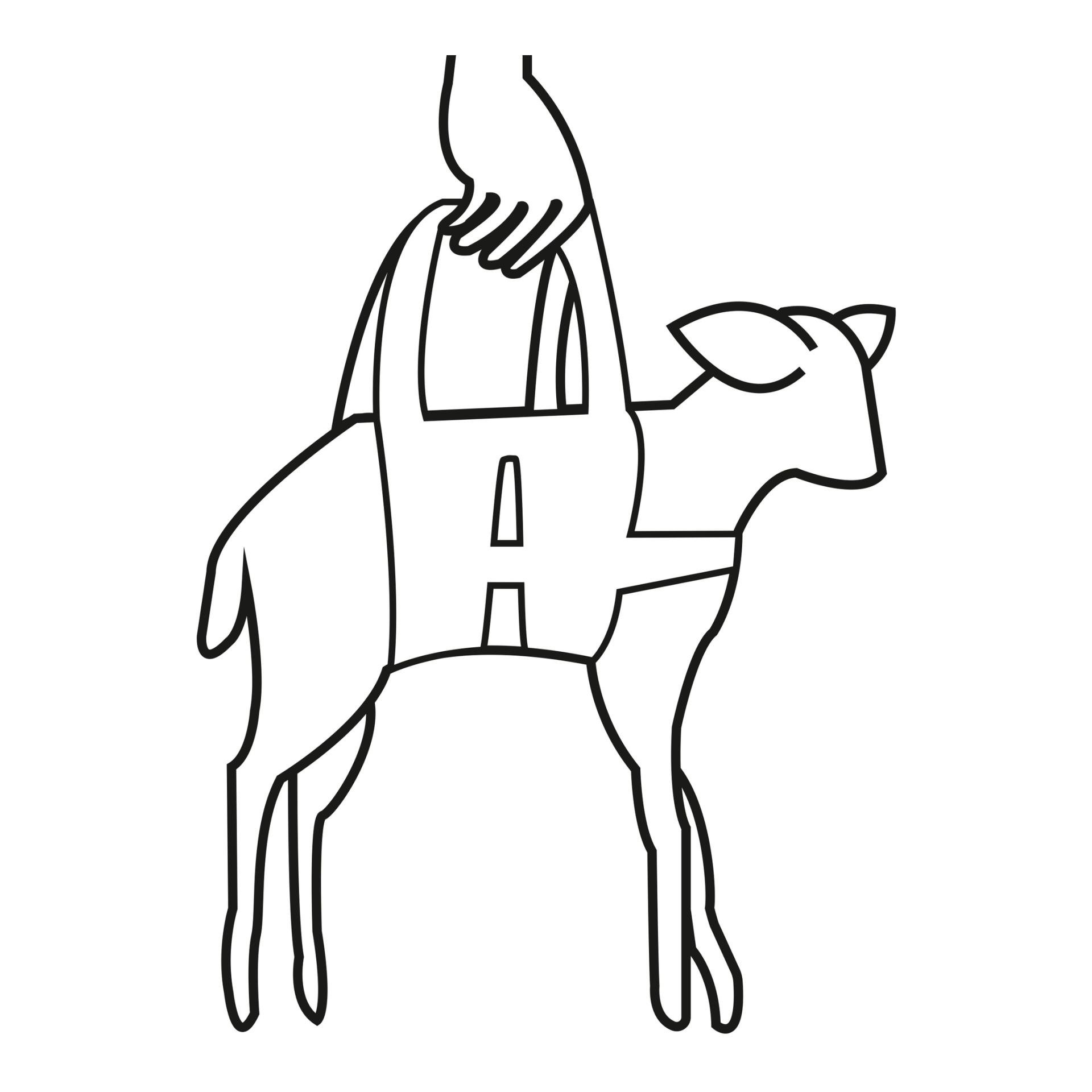 Wiegeschlinge für Lämmer