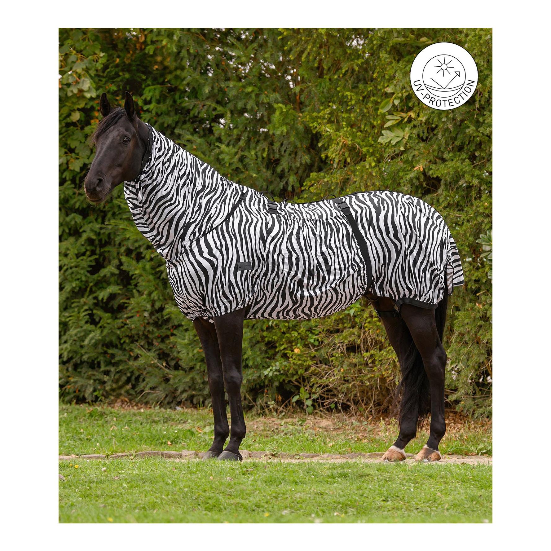 Ekzemerdecke Zebra Basic 