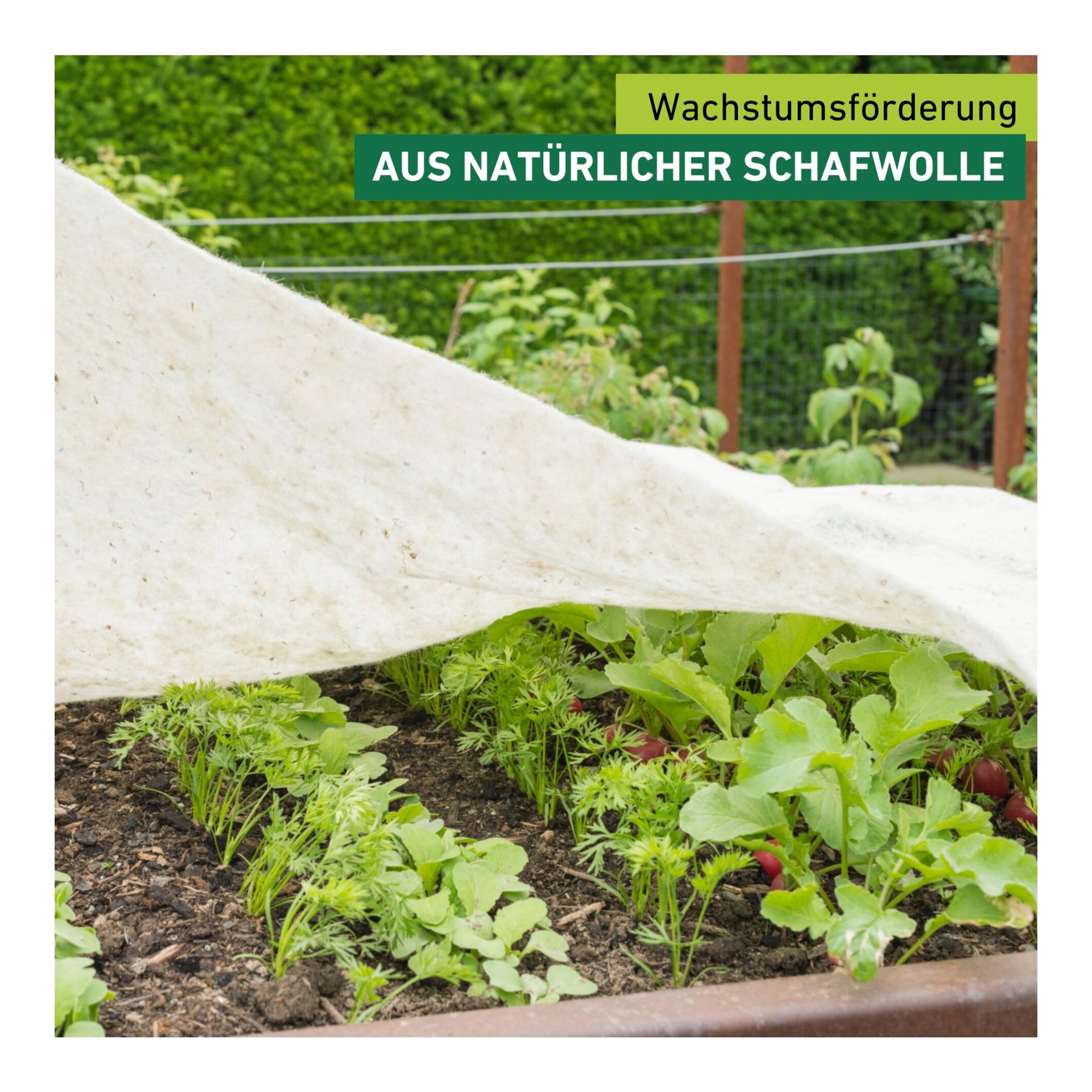 Schafwoll-Wachstumsmatte Greenline