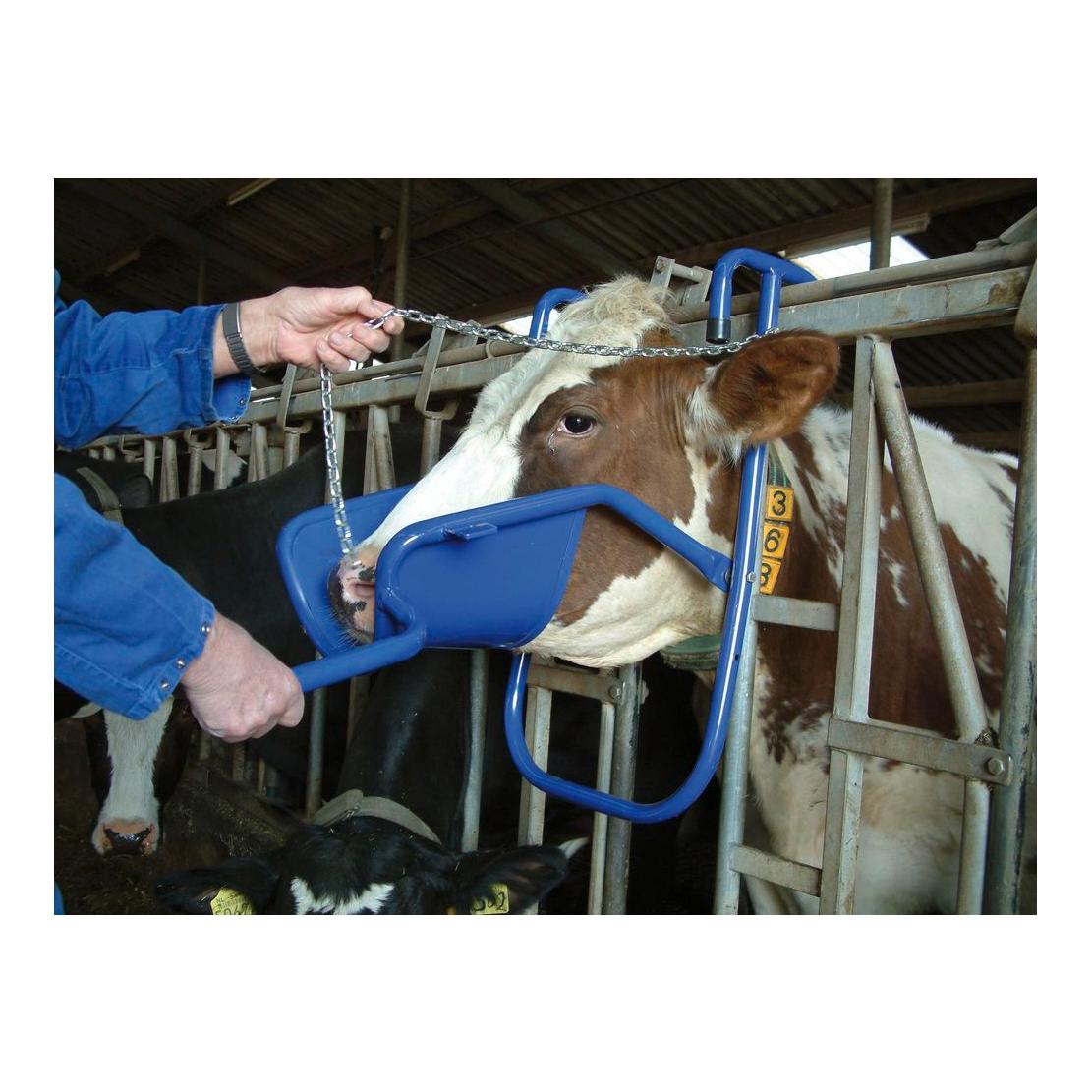 Vink-Kopfstütze für Kühe