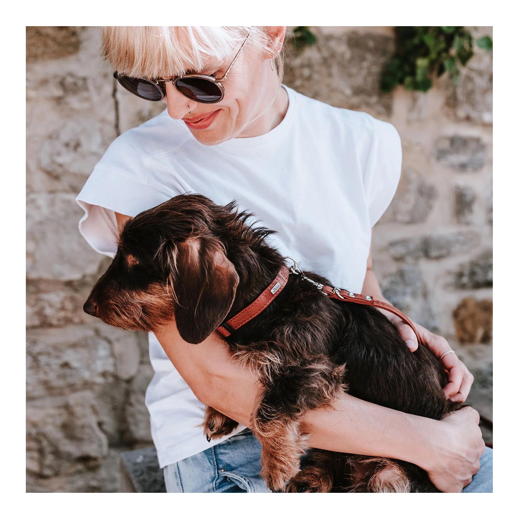 Halsband Click Canadian Up