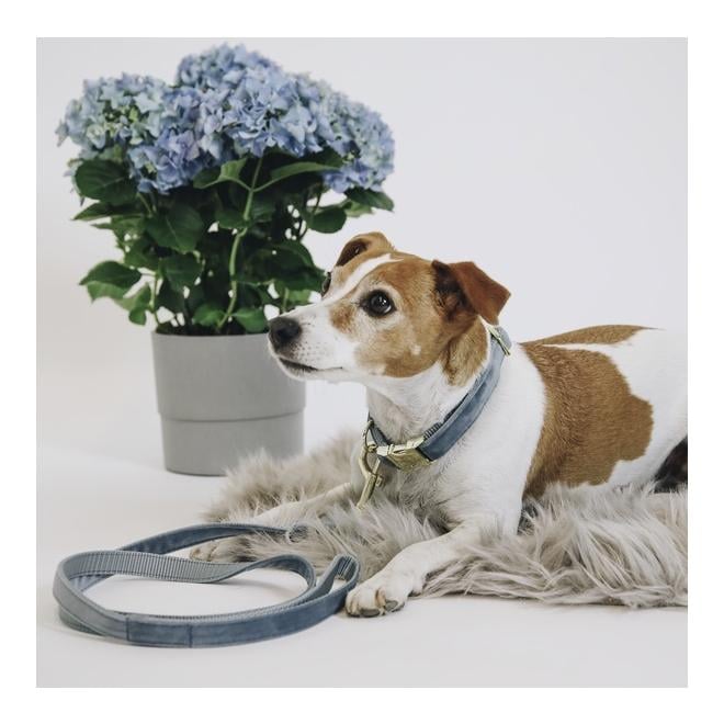 Hundeleine Velvet - light blue