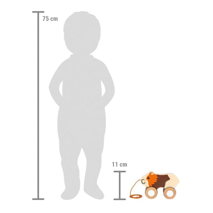 Nachziehtier Meerschweinchen