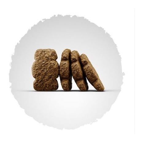 Josera Nourriture sèche Kids pour chiots