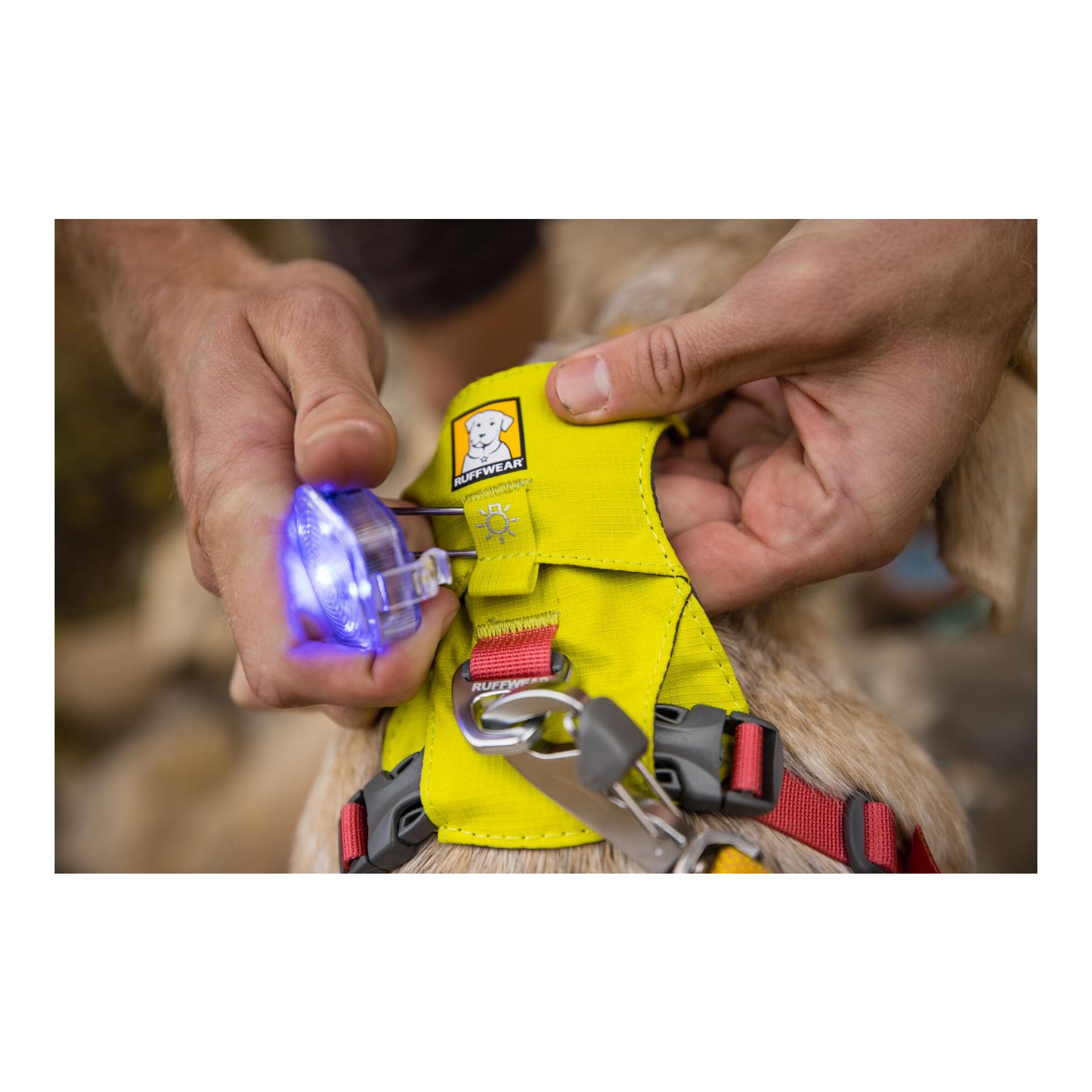 Hi & Light™ Geschirr