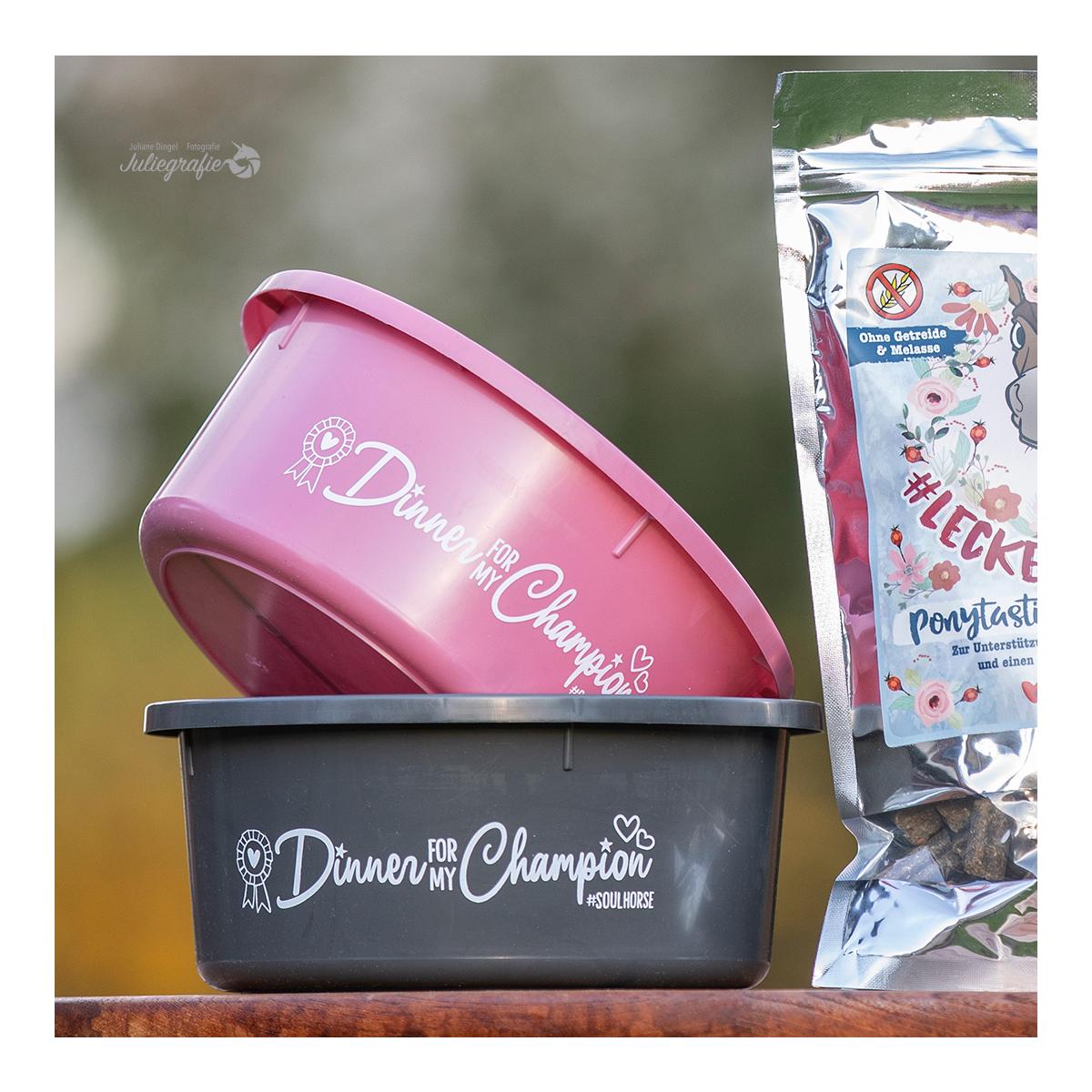 Futterschüssel "Dinner for my Champion" - Schüssel einzeln