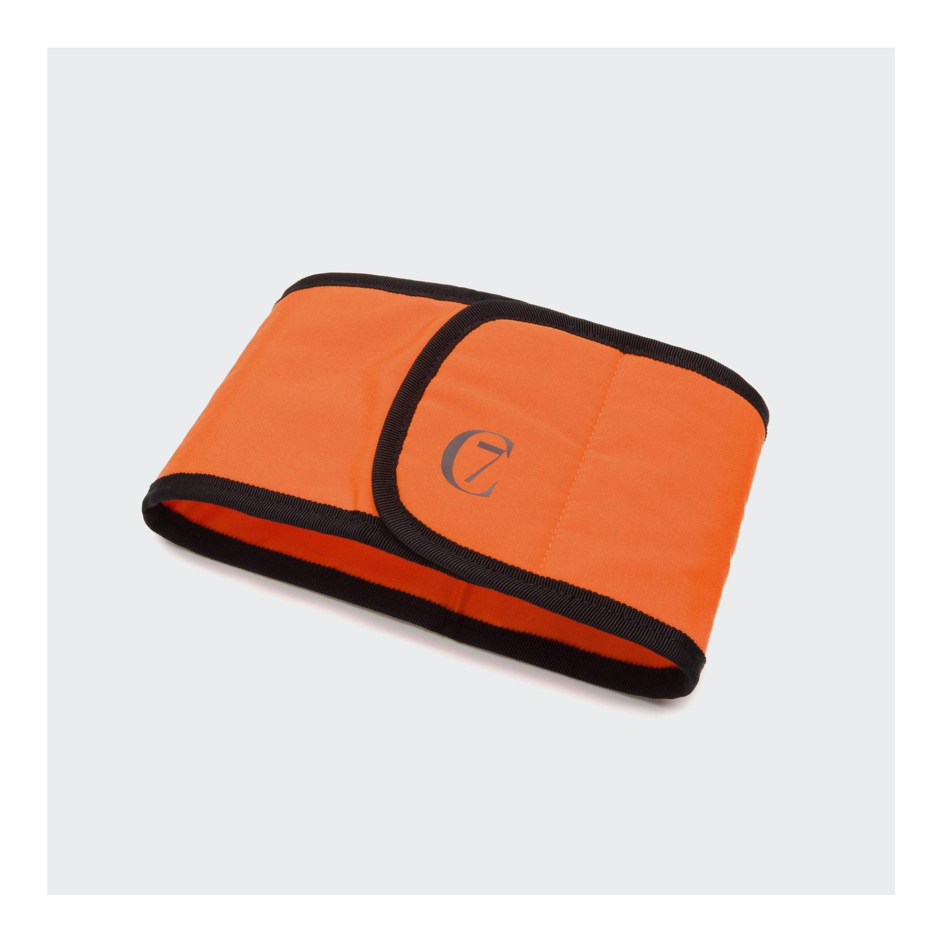 Kühlschal für Hunde