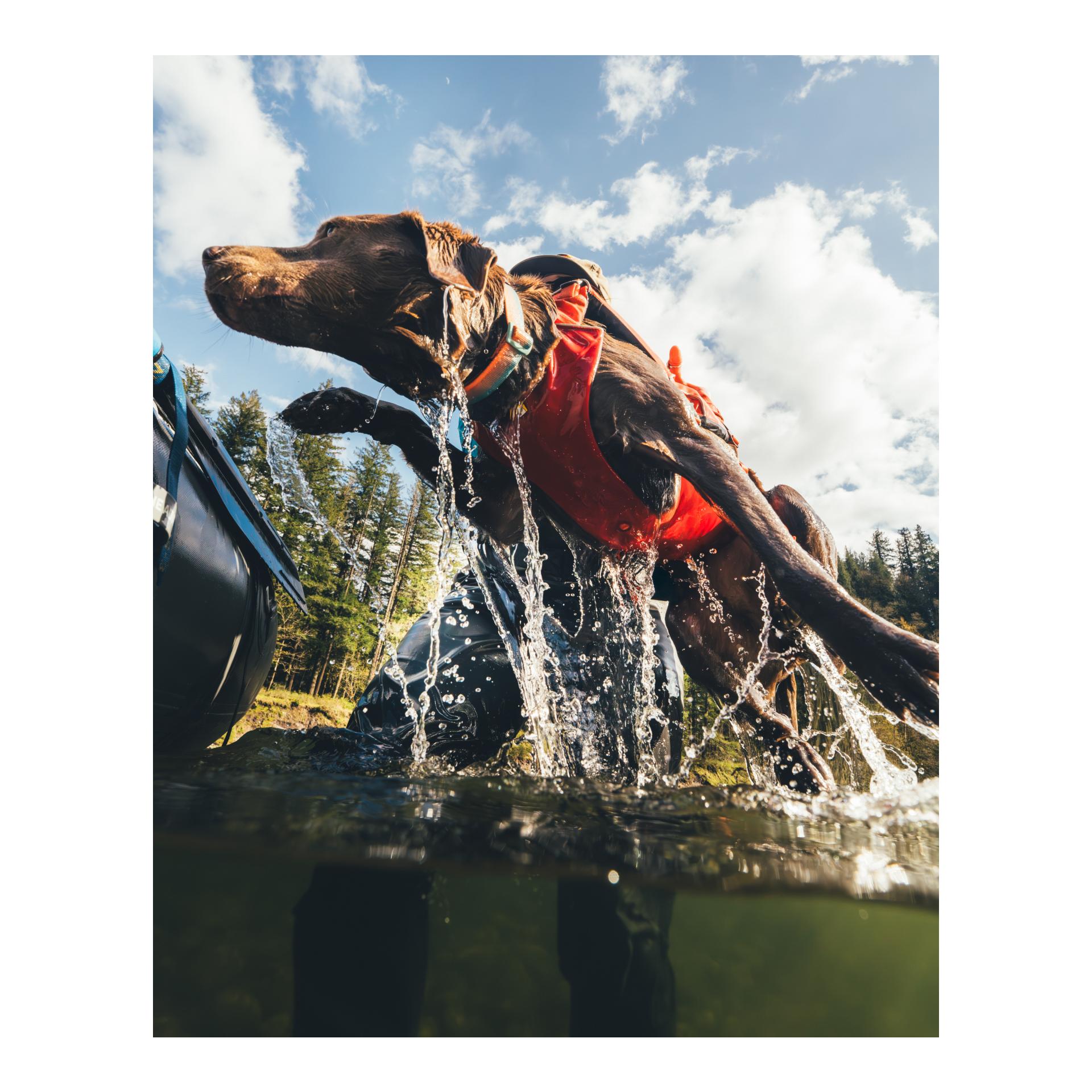 Ruffwear Schwimmweste Confluence Life Jacket