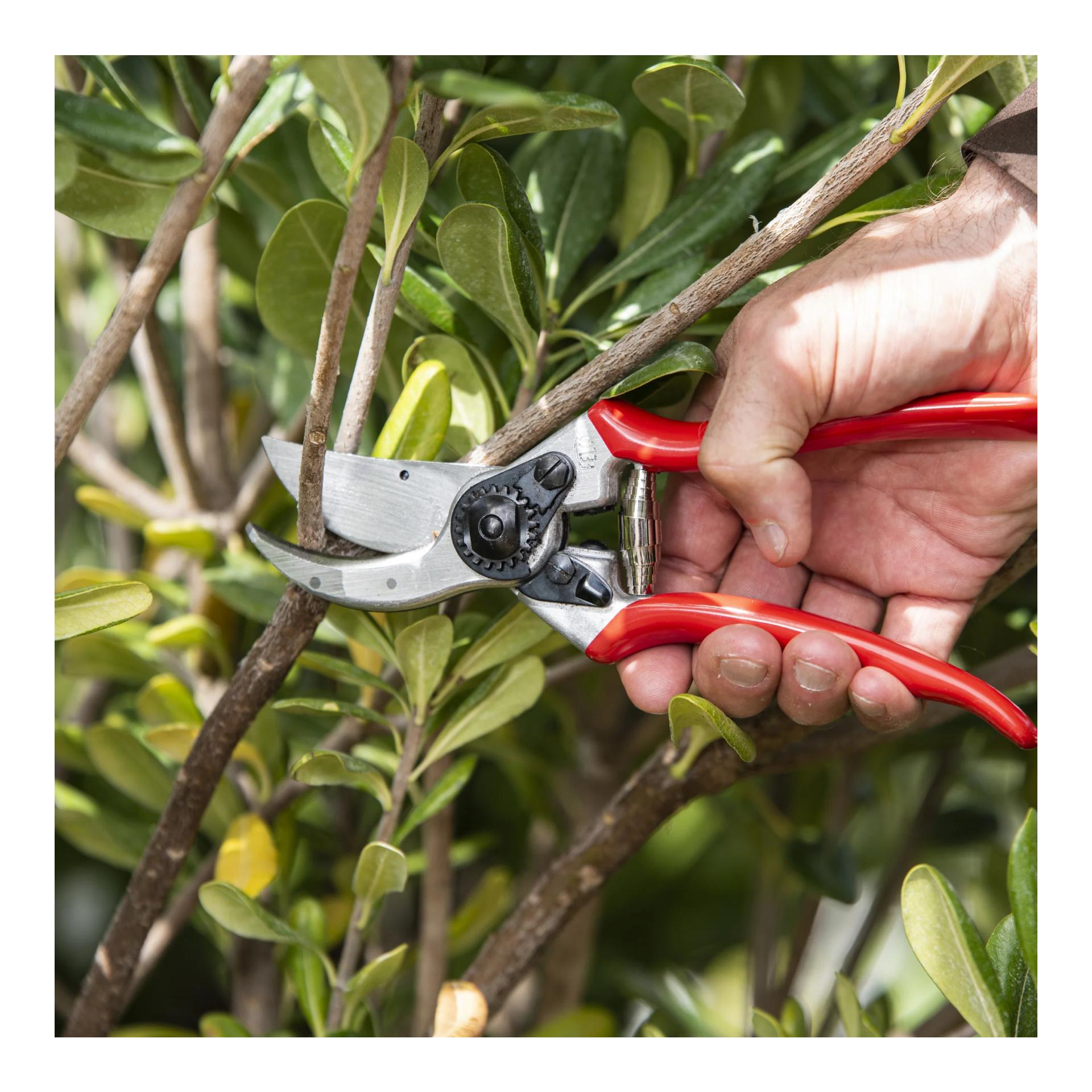 FELCO 2 Baum-, Reb- und Gartenschere