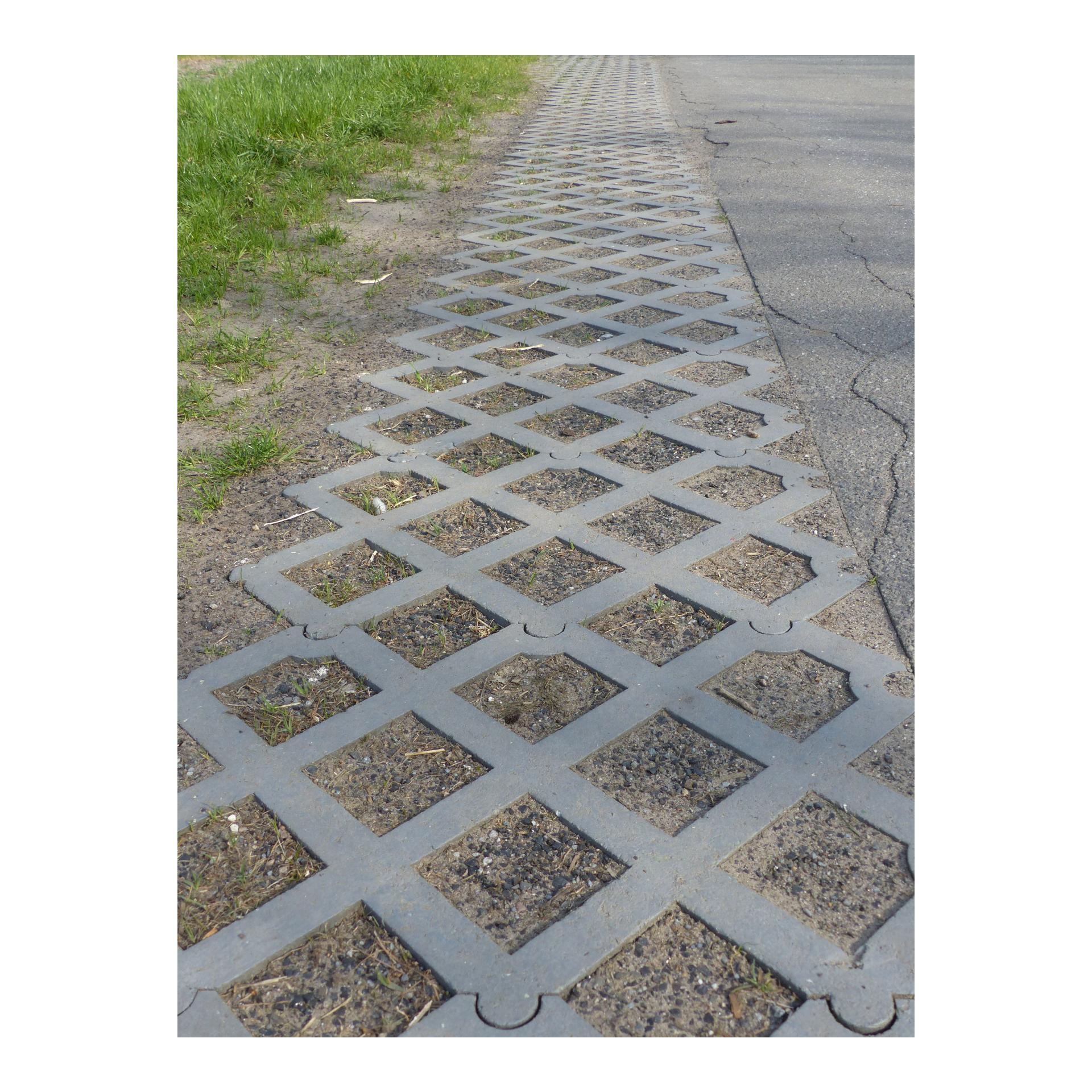 Hauptner Rasengitterstein