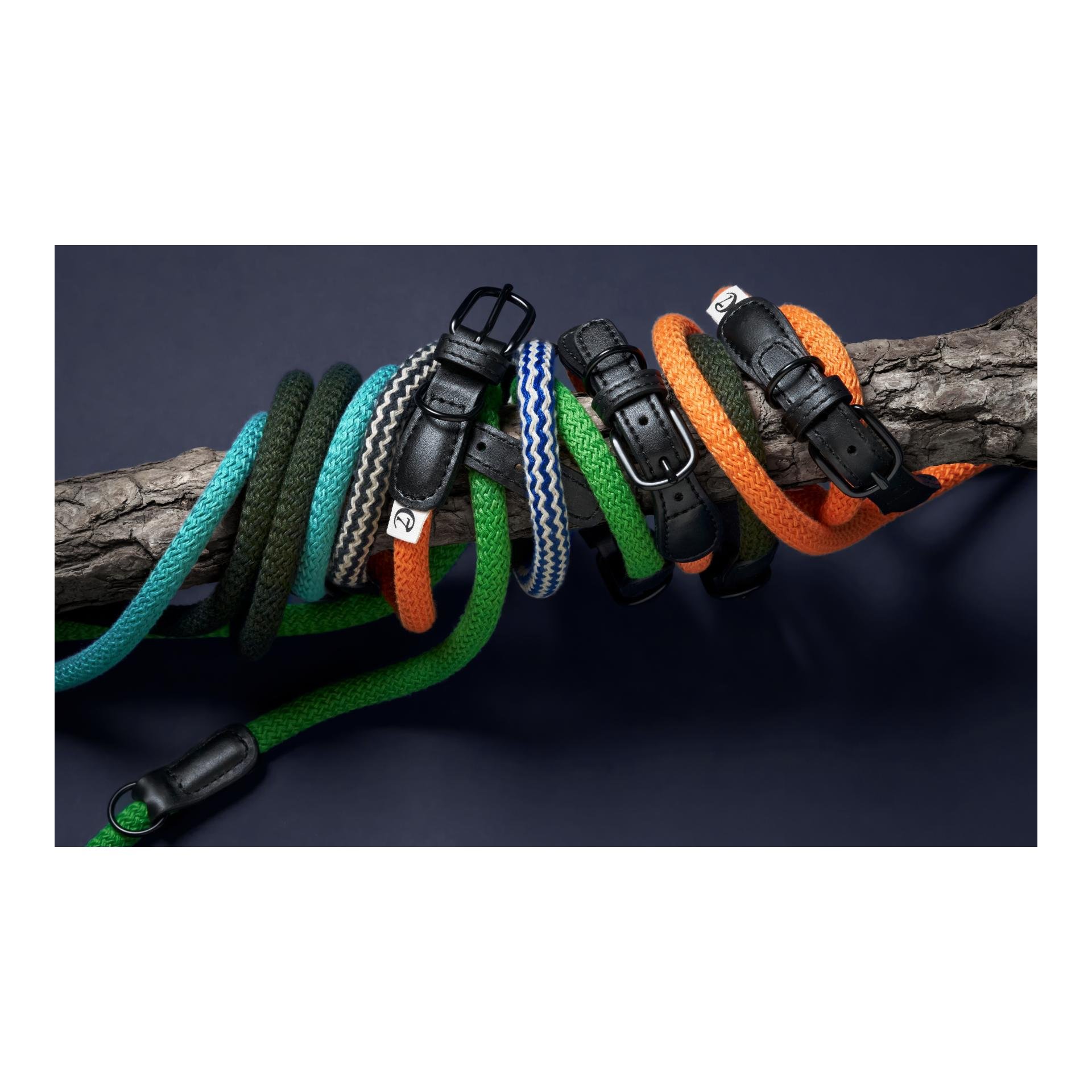 Hundehalsband Mauerpark