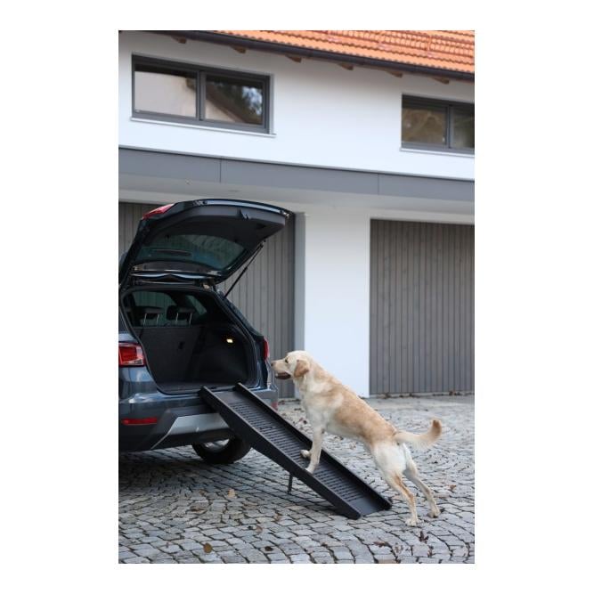 Rampe pour chiens