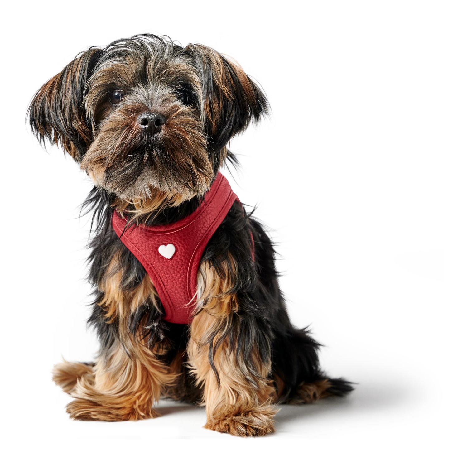 Hunter Hundegeschirr Love 