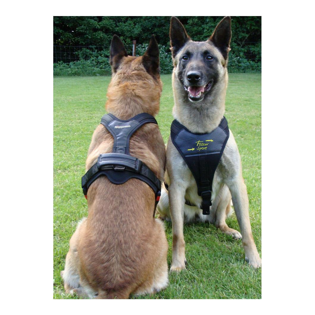 Hundeführgeschirr Follow Sport