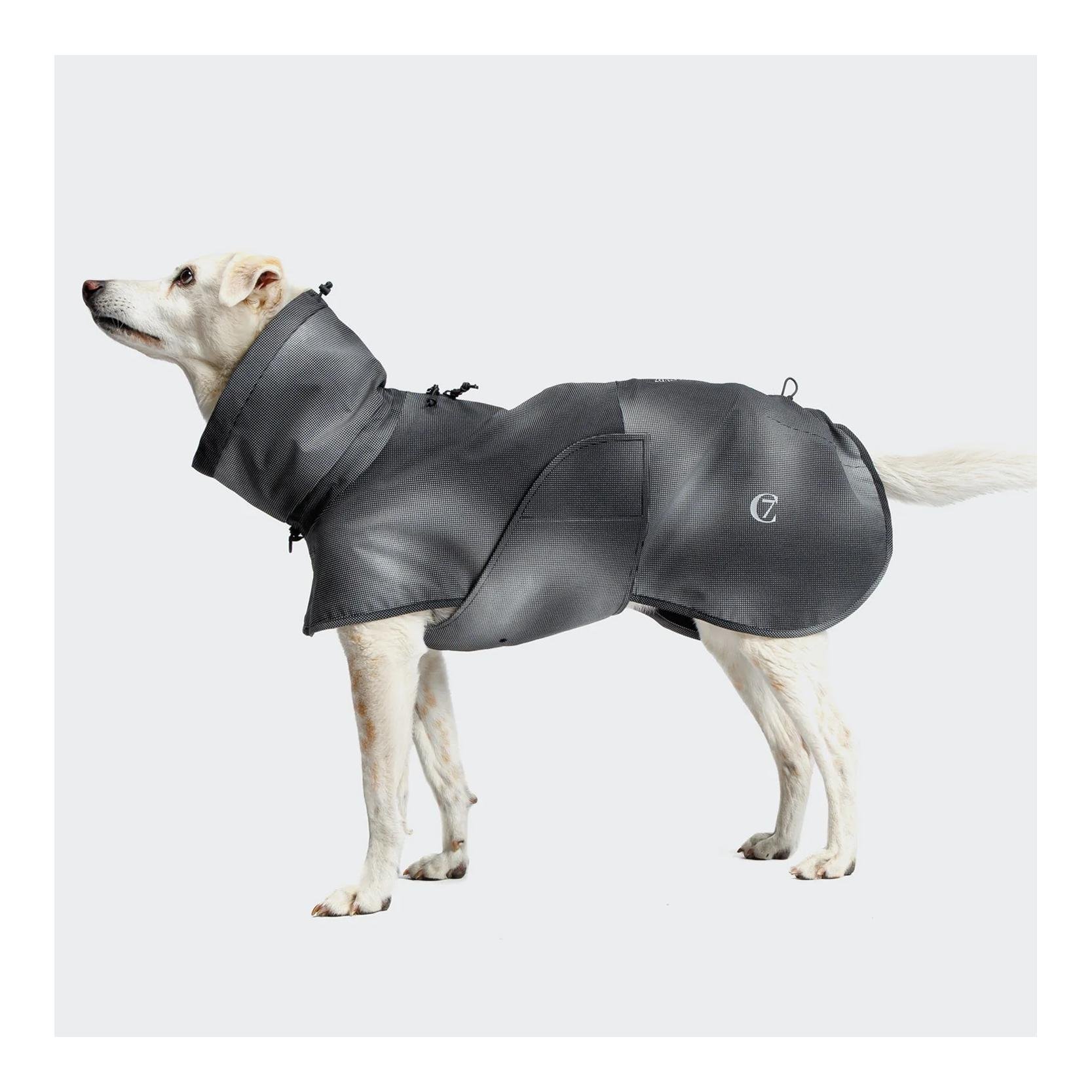 Hunderegenmantel Aktiv