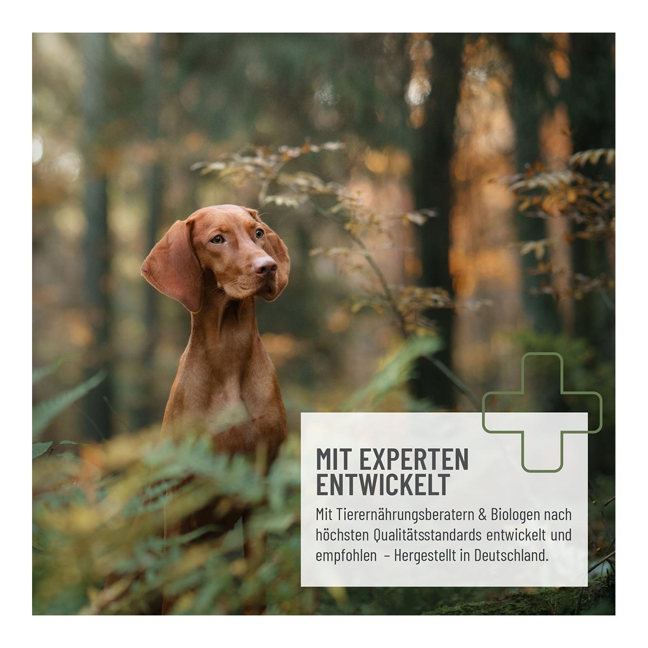 Bâtonnets de bien-être au chanvre