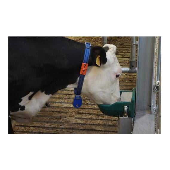 Universal-Schwimmertränke