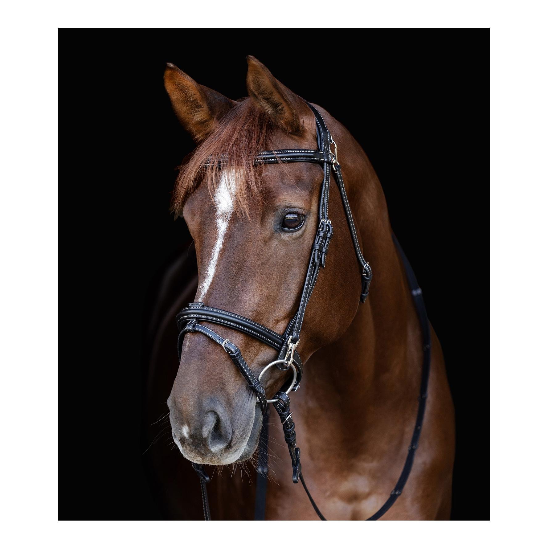 Waldhausen X-Line Trensenzaum Work