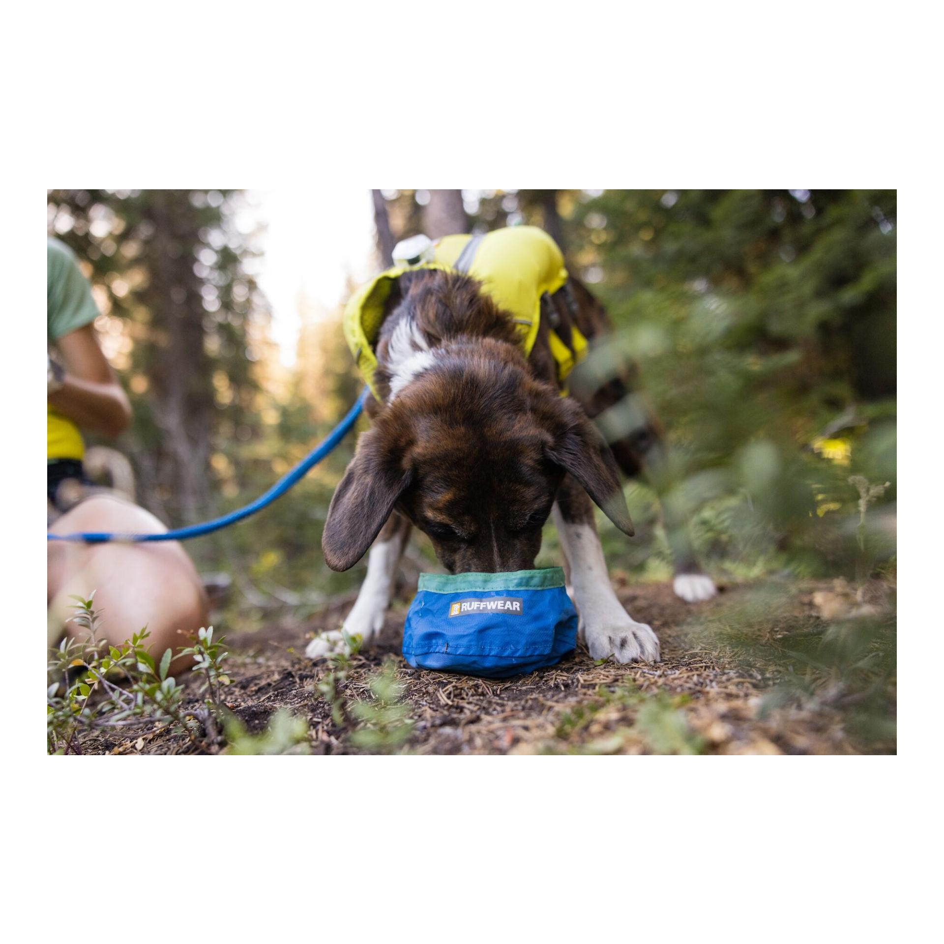 Trail Runner™ Bowl gamelle pour chien