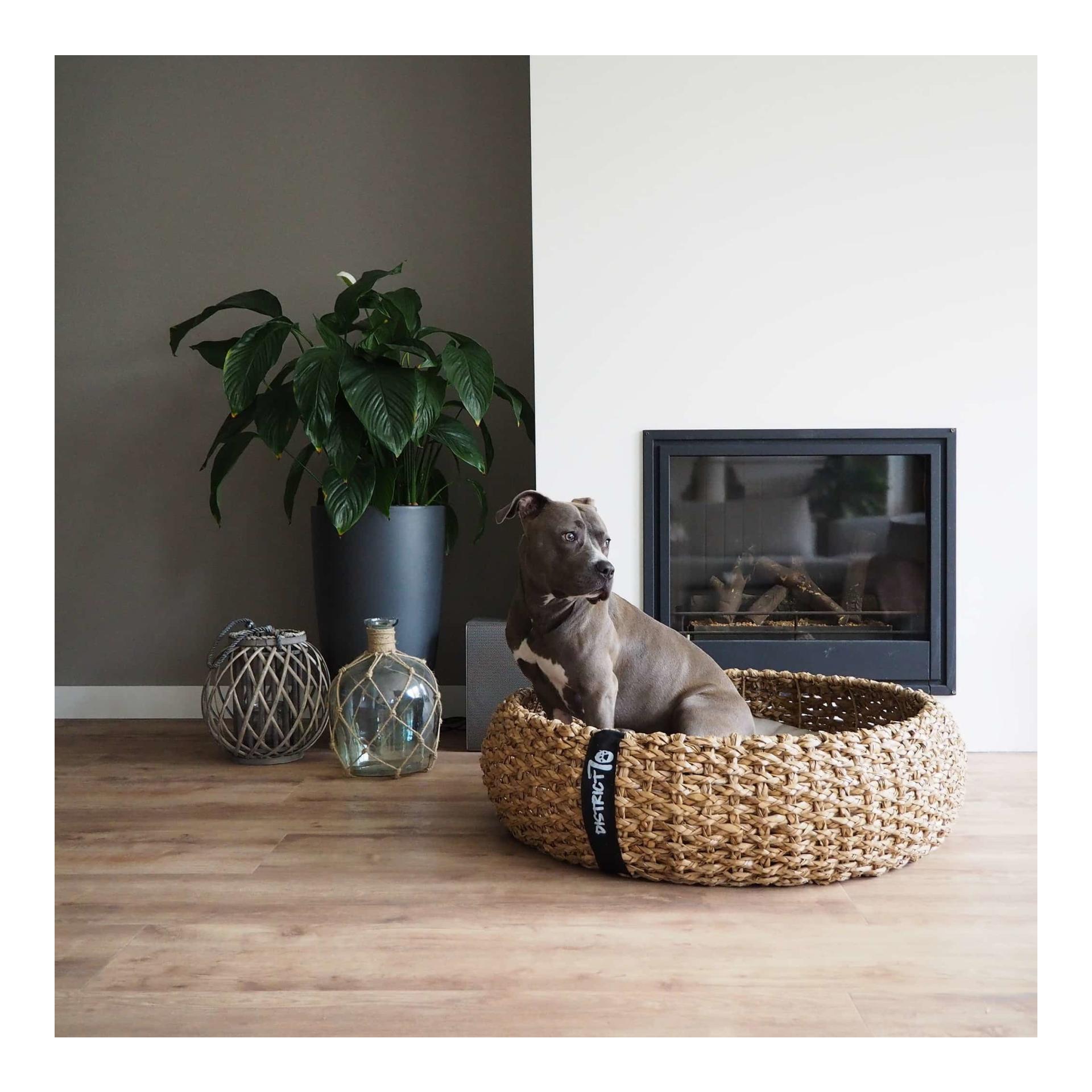 Hundebett Cocoon Natural