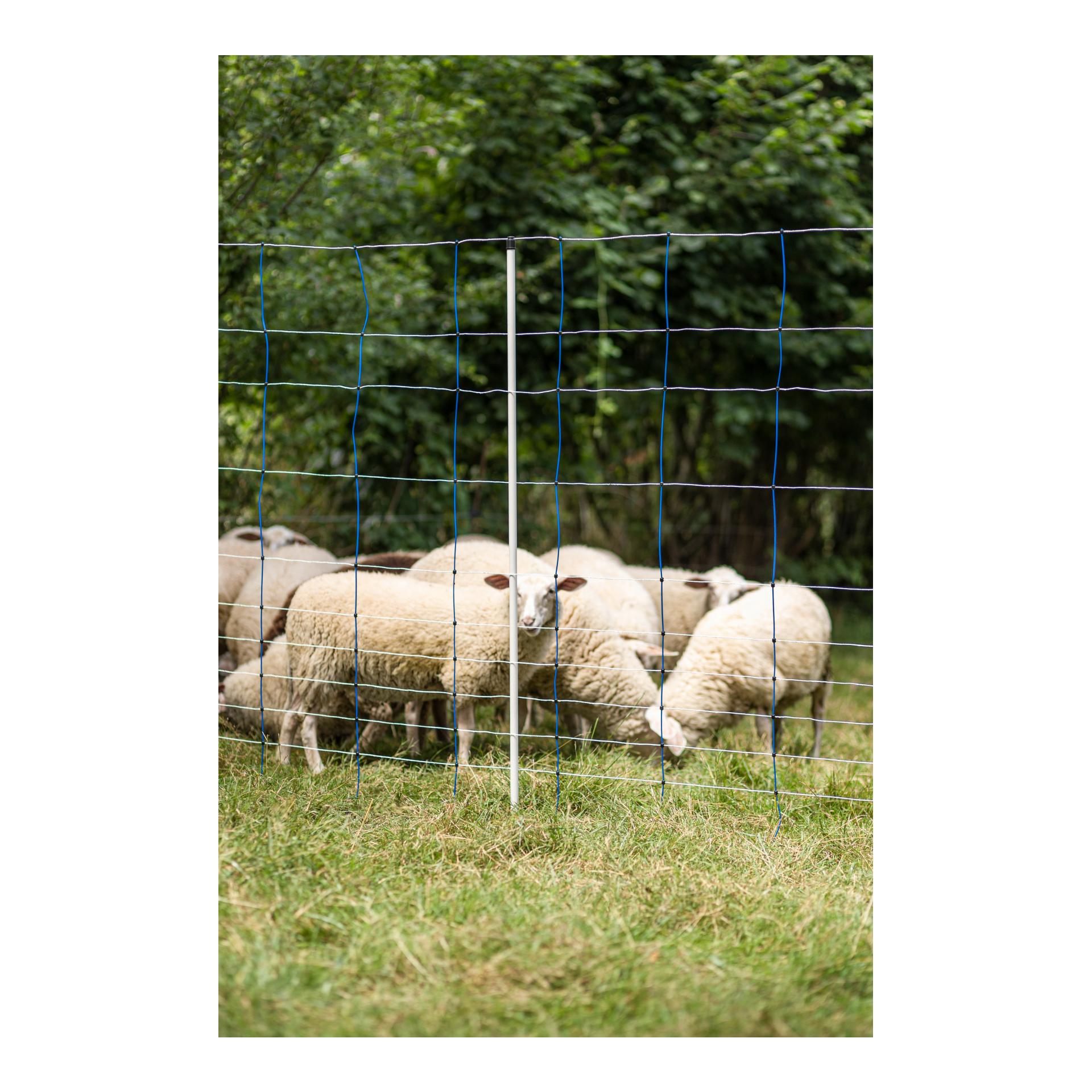 Weidenetz TitanNet - Doppelspitz