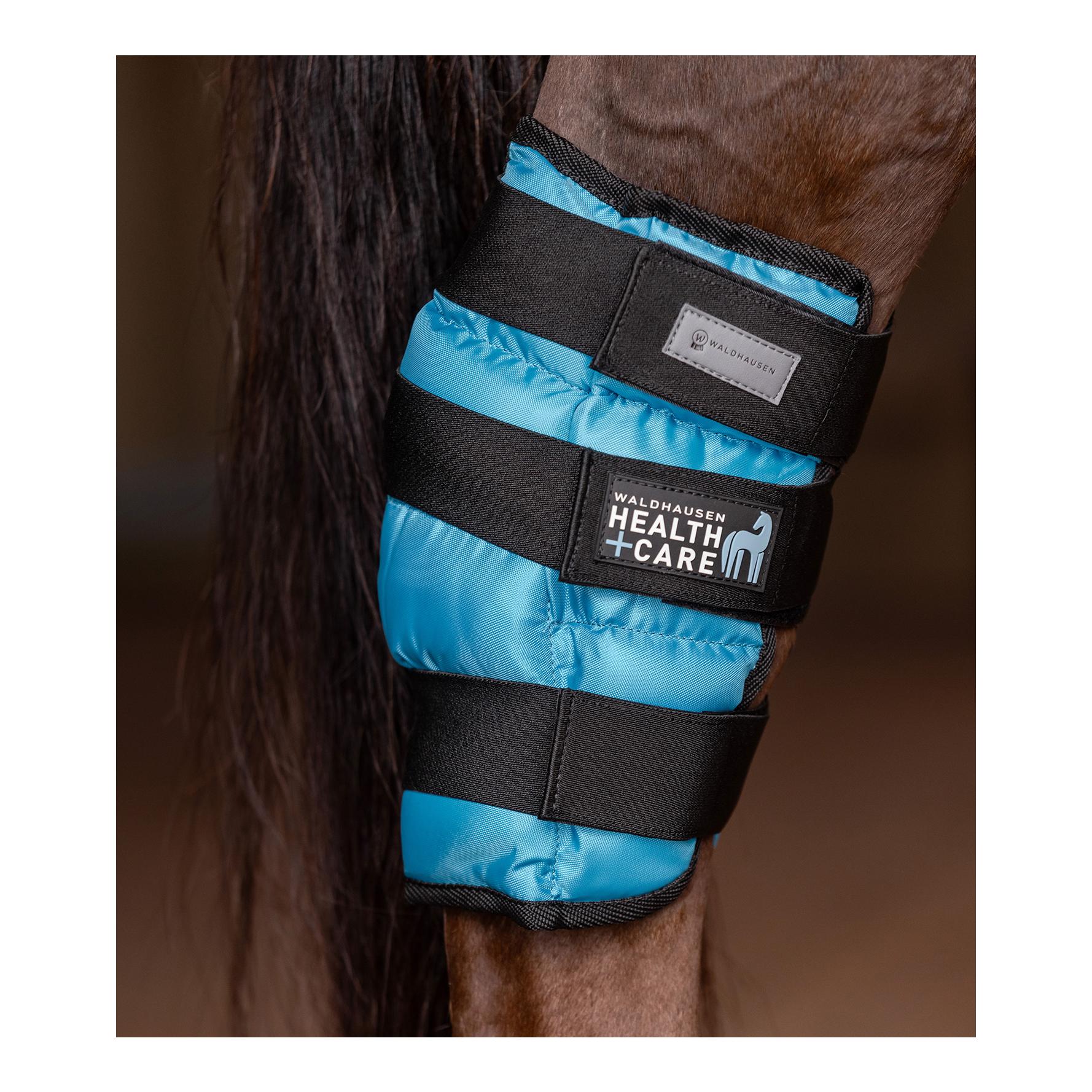 Waldhausen Health + Care Sprunggelenks Kühlgamasche Gel, Stück