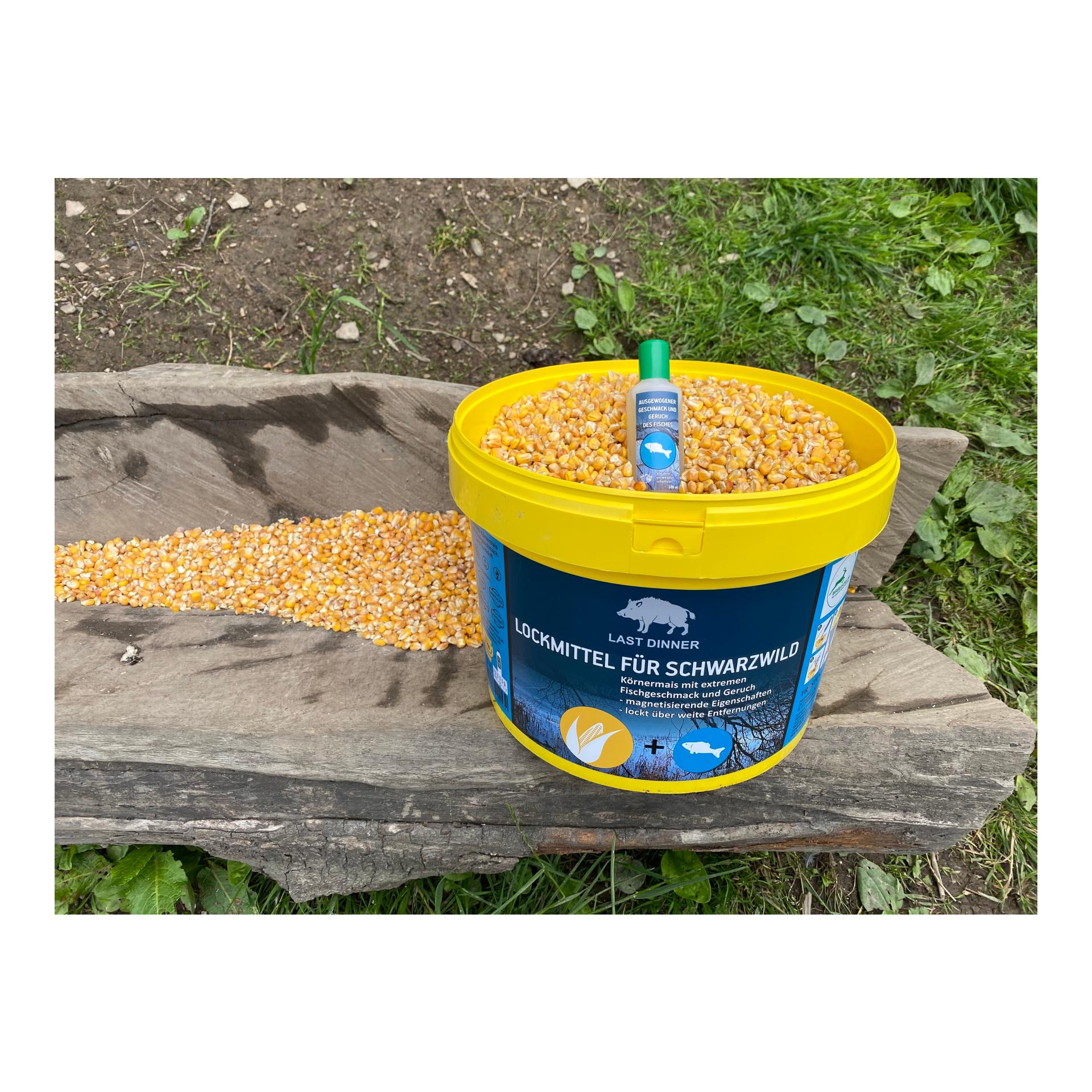 Last Dinner Nr. 1 Mais mit Fischkonzentrat