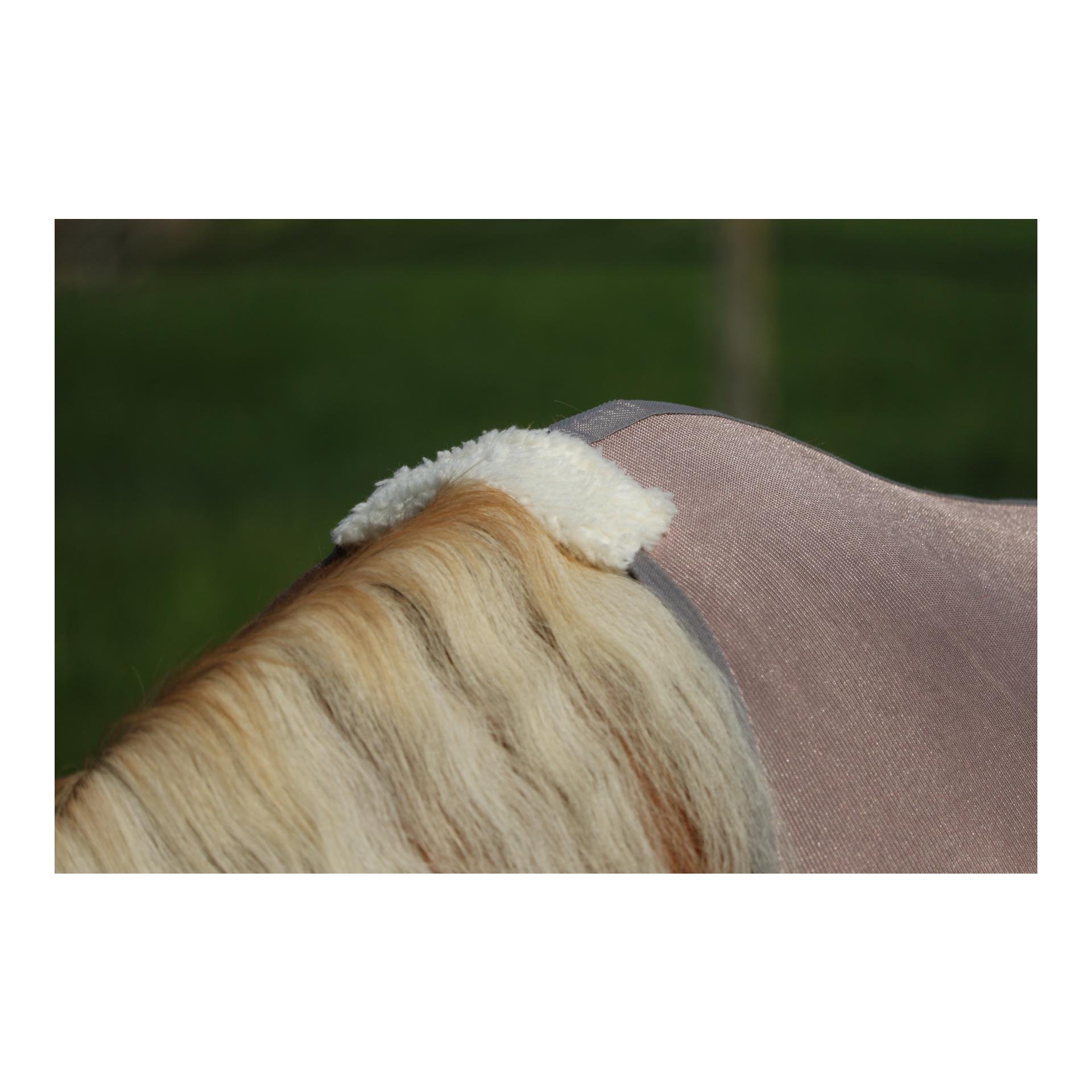 Stallone Walker-Fliegendecke