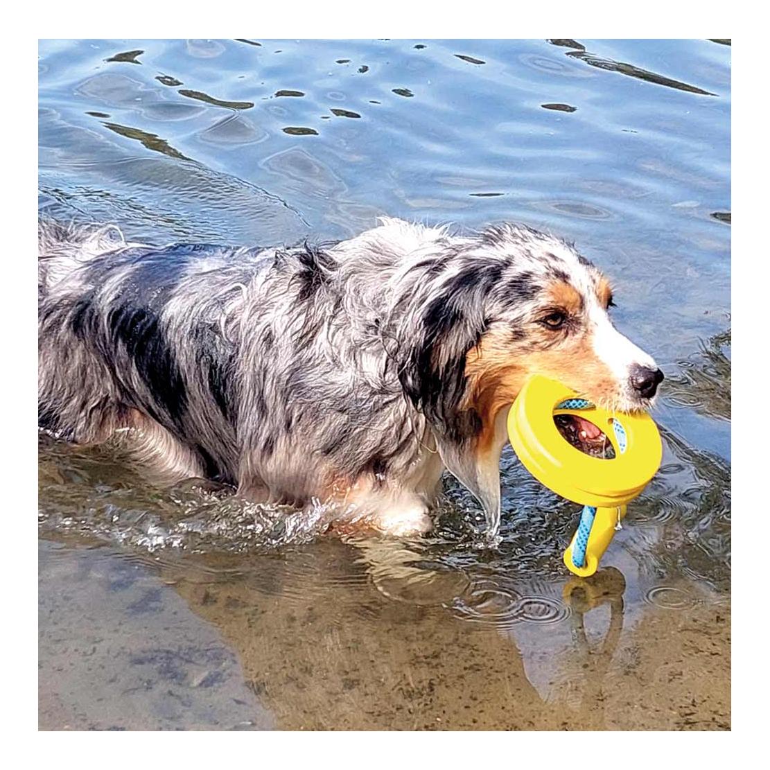 TPR Ring, Seil + Griff