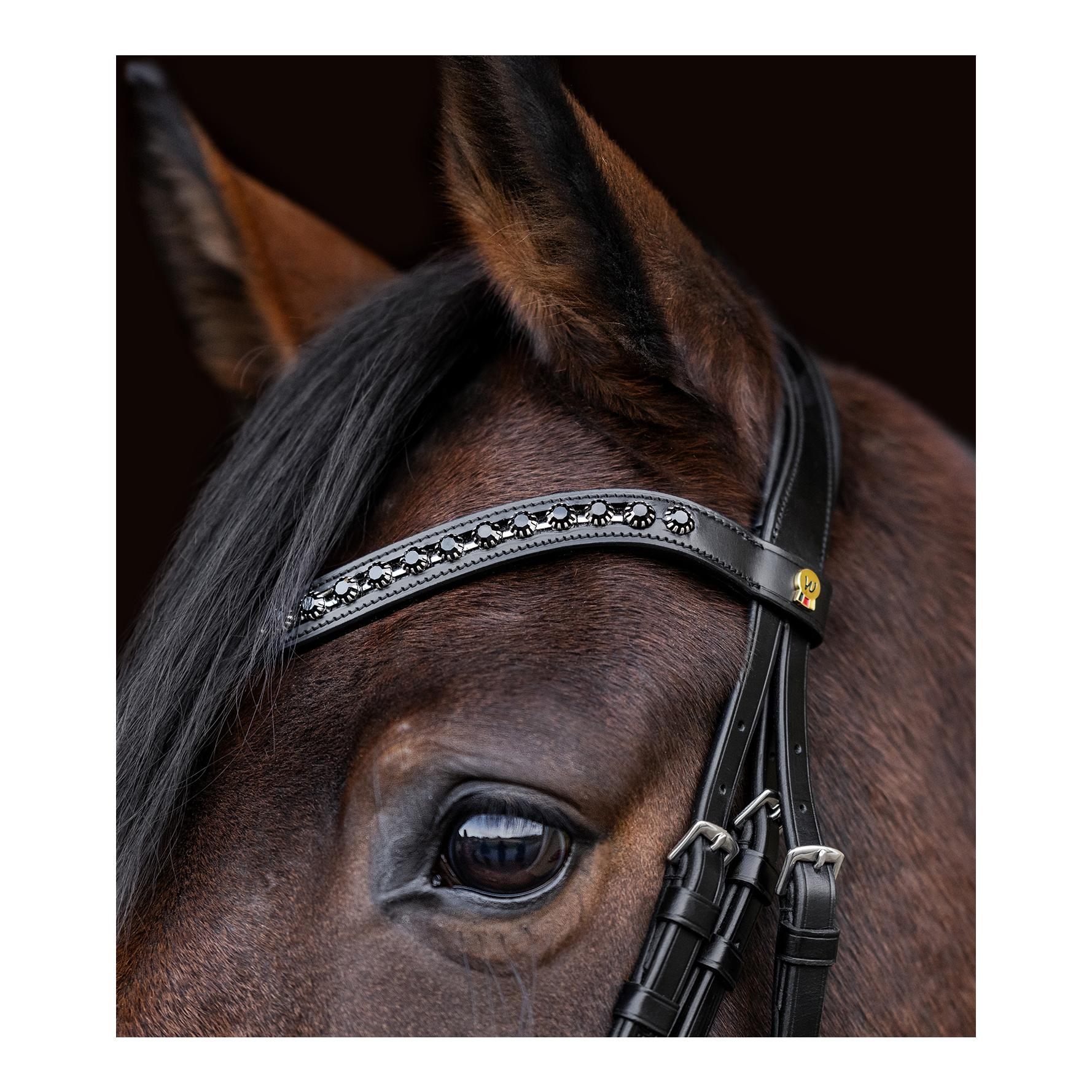 Waldhausen S-Line Trensenzaum Blackshine