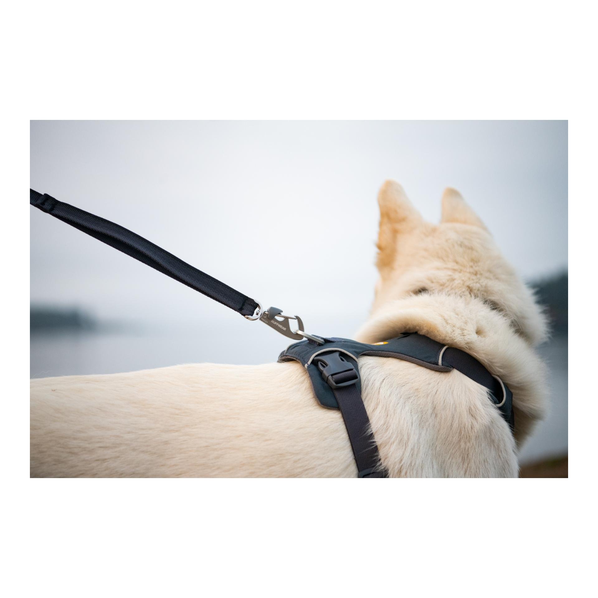 Ruffwear Front Range™ Leash Hundeleine