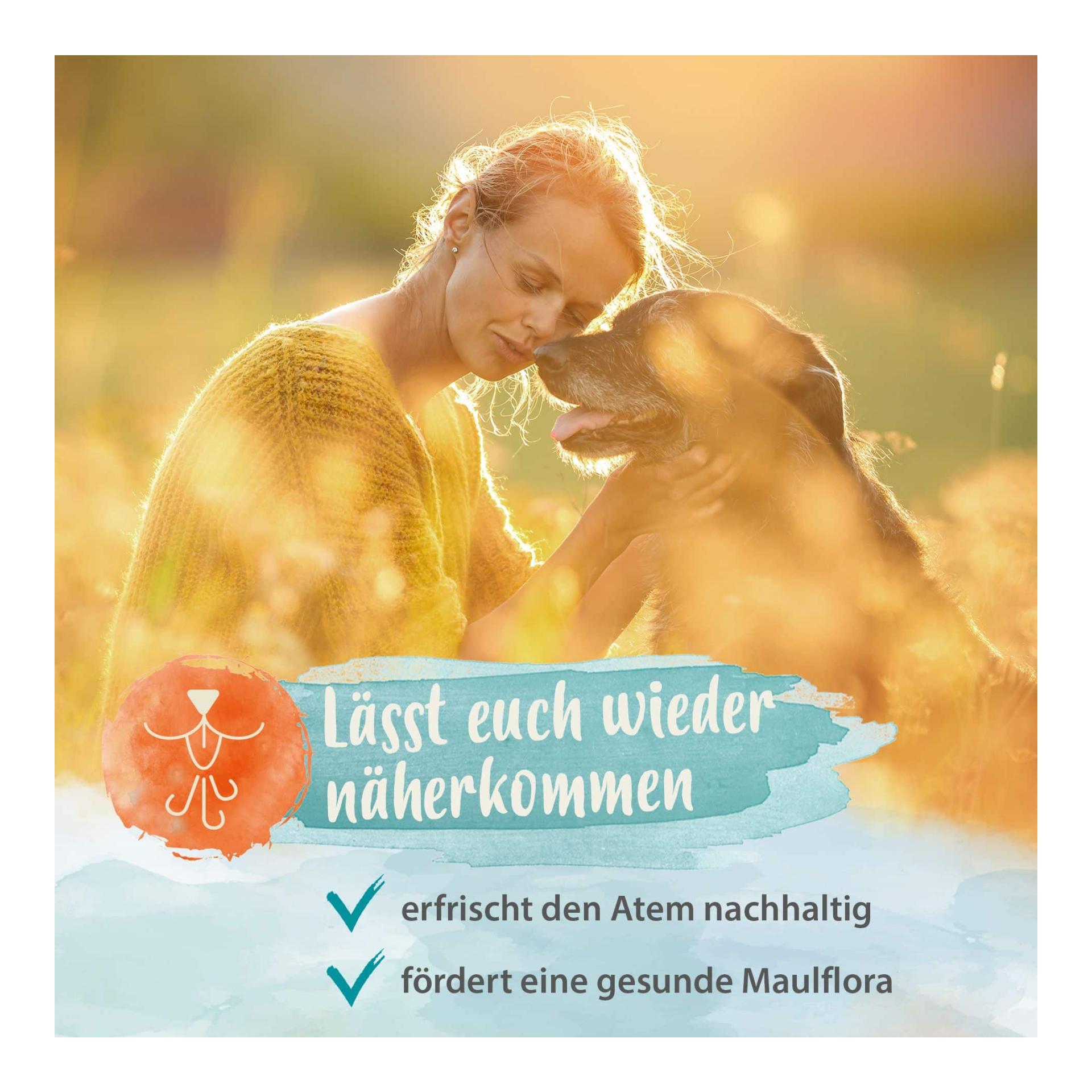 Denta Dog - kinderleichte Hunde Zahnpflege - stoppt Hunde Mundgeruch