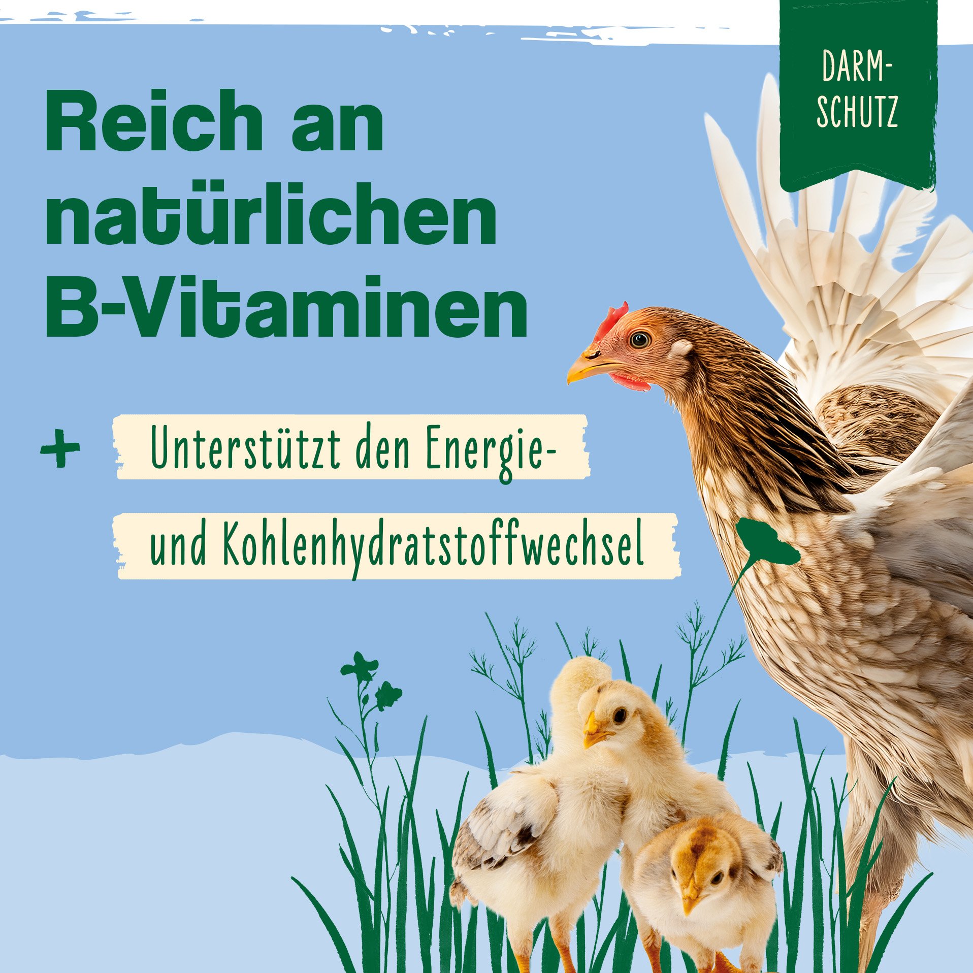 IdaPlus Geflügel Bierhefe Vitabrew - Futterergänzung für Geflügel