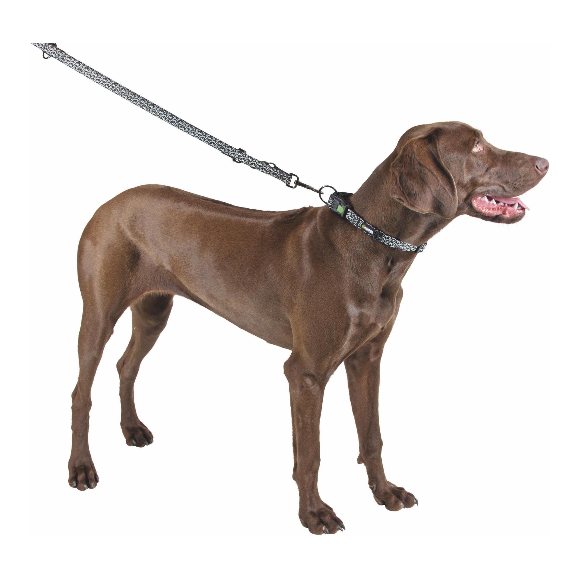 Halsband Shiny Night