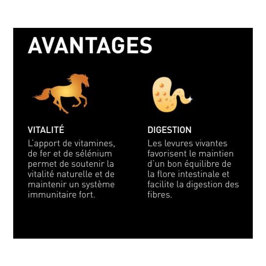 granovit Horse Pure Care - Getreidefreies Pferdefutter in Würfeln