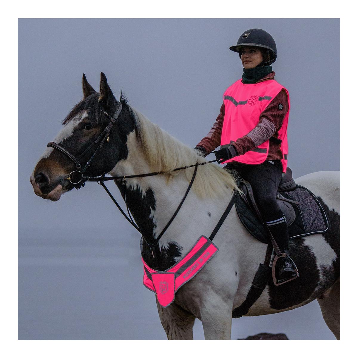 Warnweste "Achtung Pferd"