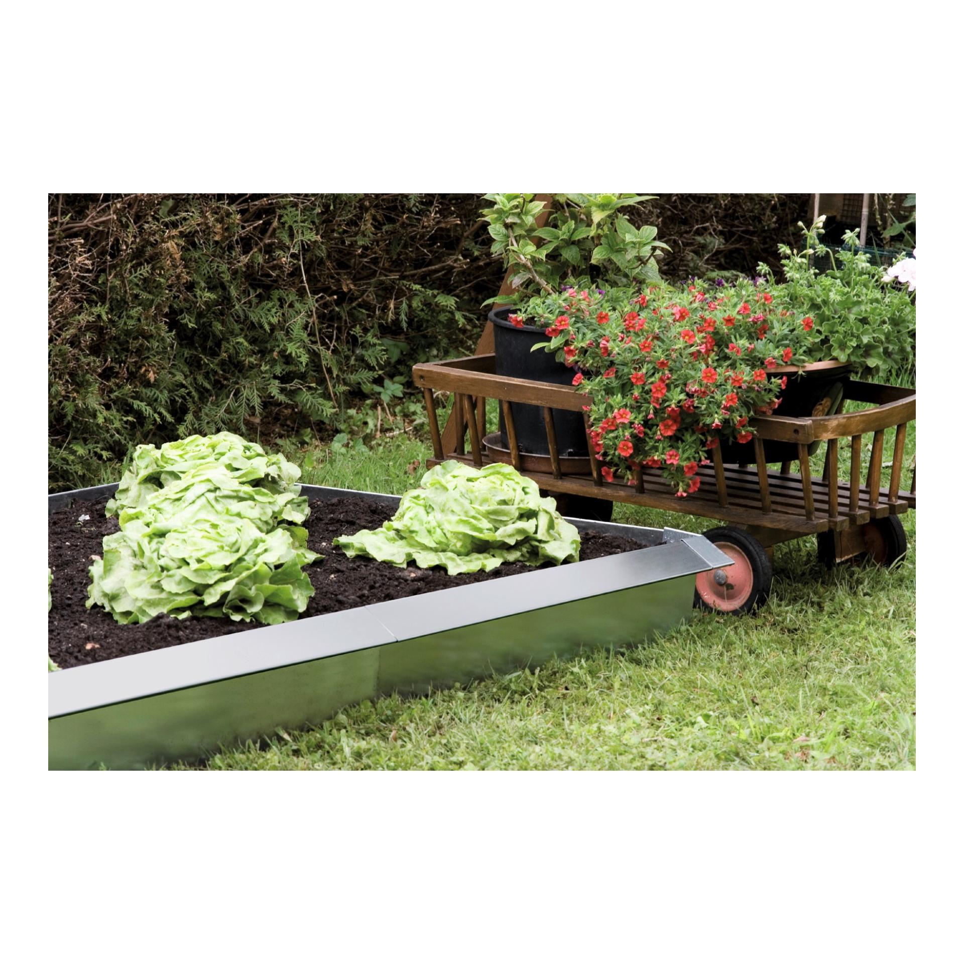 Paroi pour barrière à limaces - mur