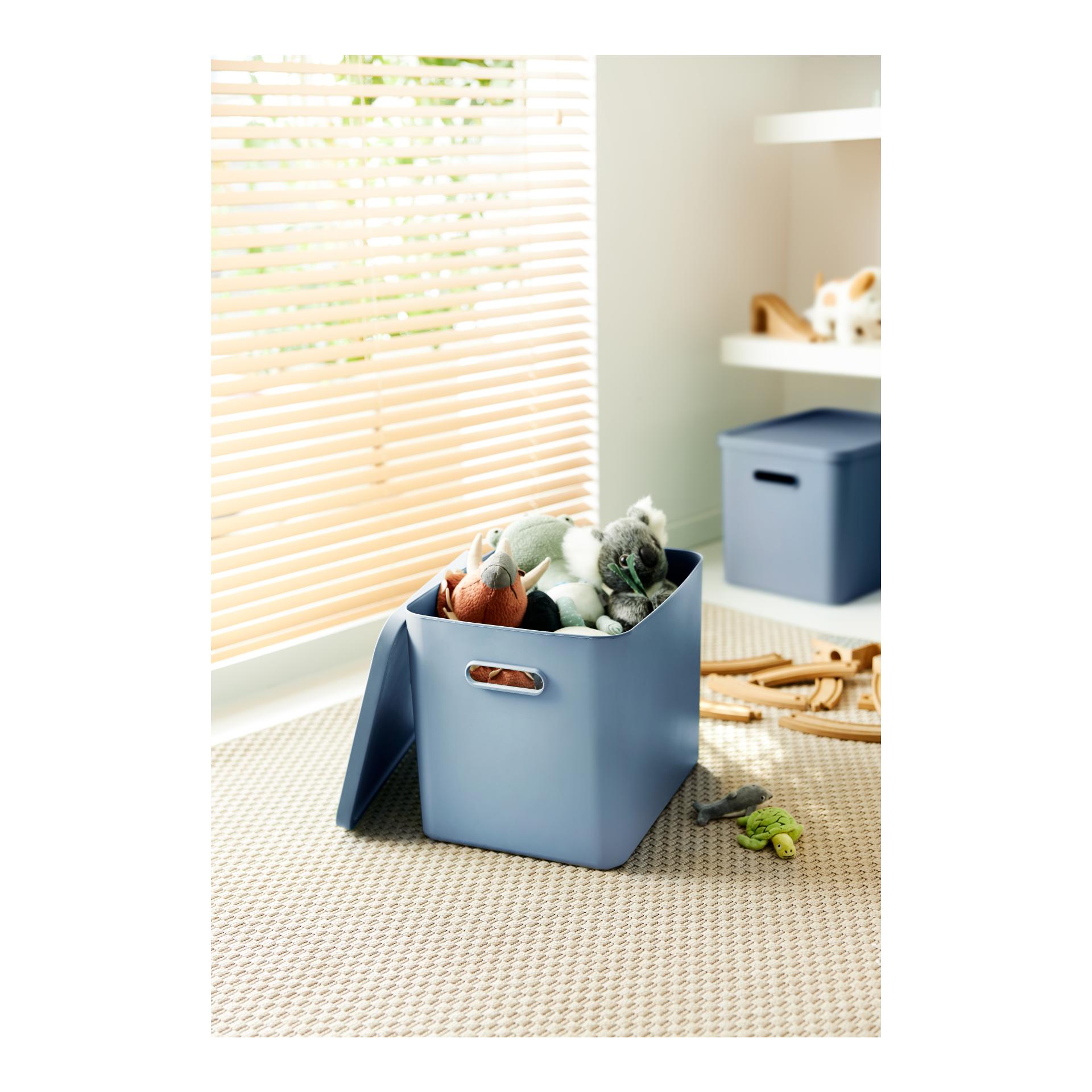 Rotho Multibox ALBULA